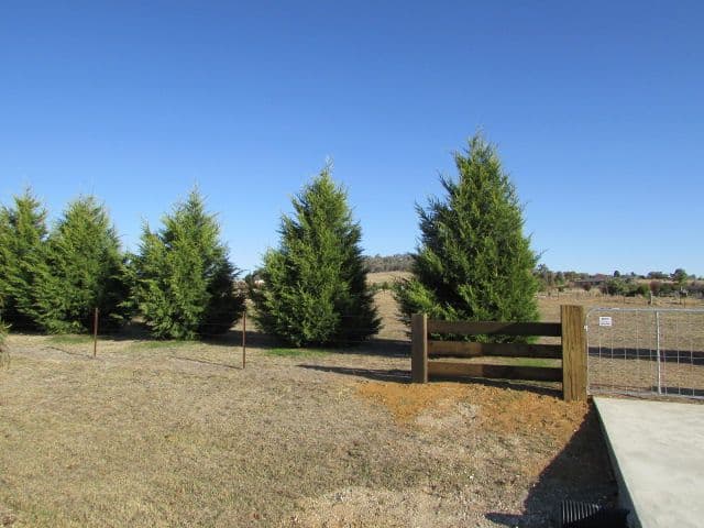 21 NORTHVIEW Terrace, MOUNT PLEASANT QLD 4740, Mount Pleasant - Thumbnail 7