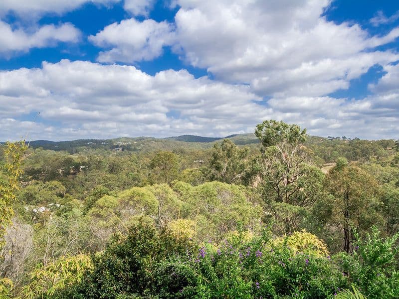 21 Islandview Terrace, Ormeau Hills QLD 4208, Ormeau Hills - Thumbnail 2