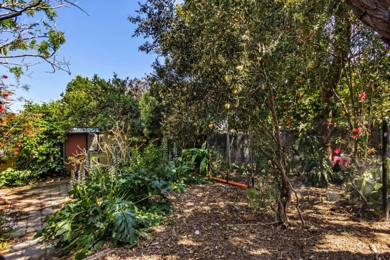 15 Cassowary Street, Doncaster East VIC 3109, Doncaster East - Thumbnail 4