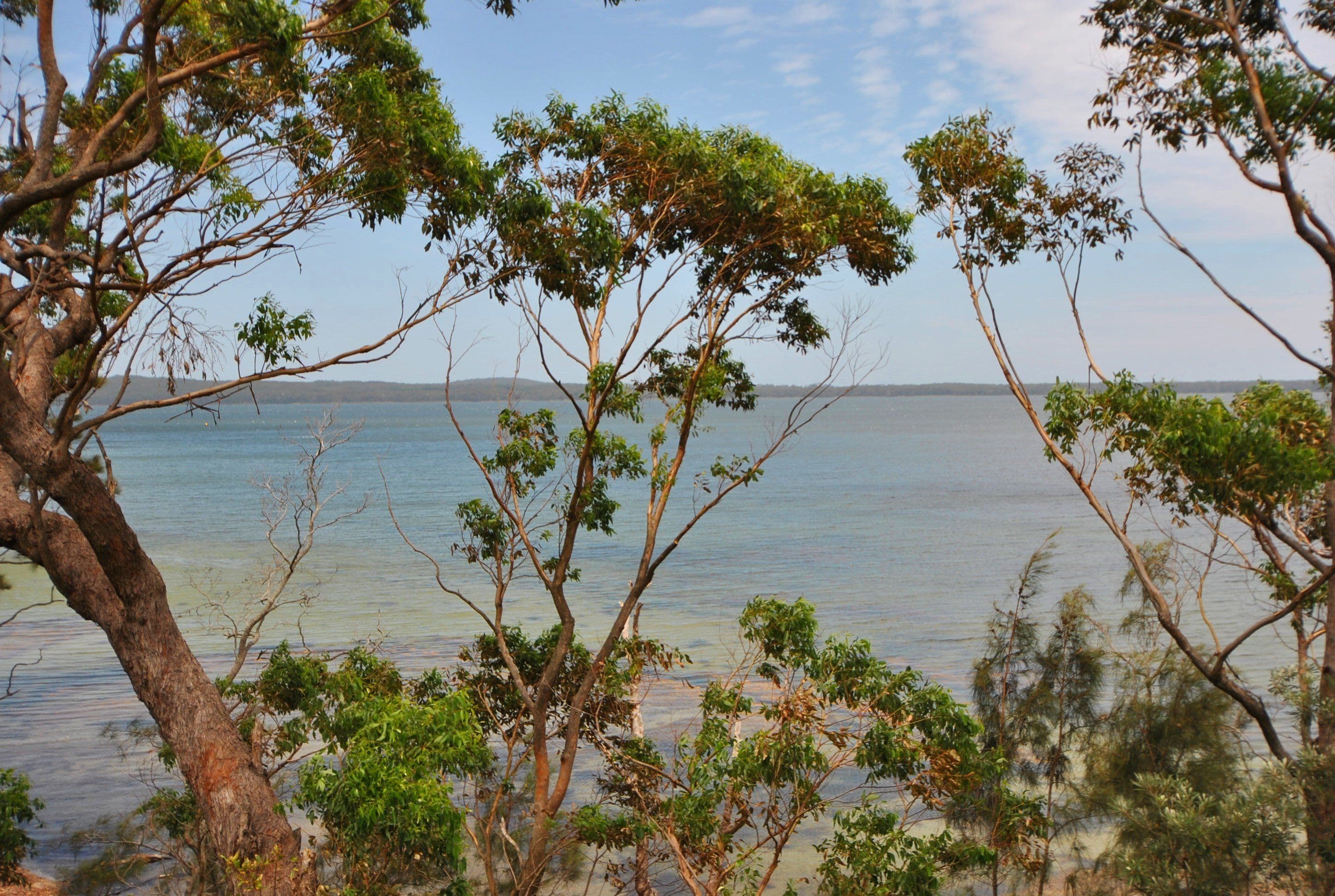 28 Greville Avenue, Sanctuary Point - Thumbnail 8