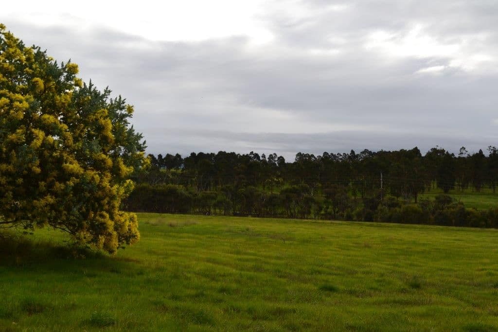 125 Moorilup Road, KENDENUP WA 6323, Kendenup - Thumbnail 2