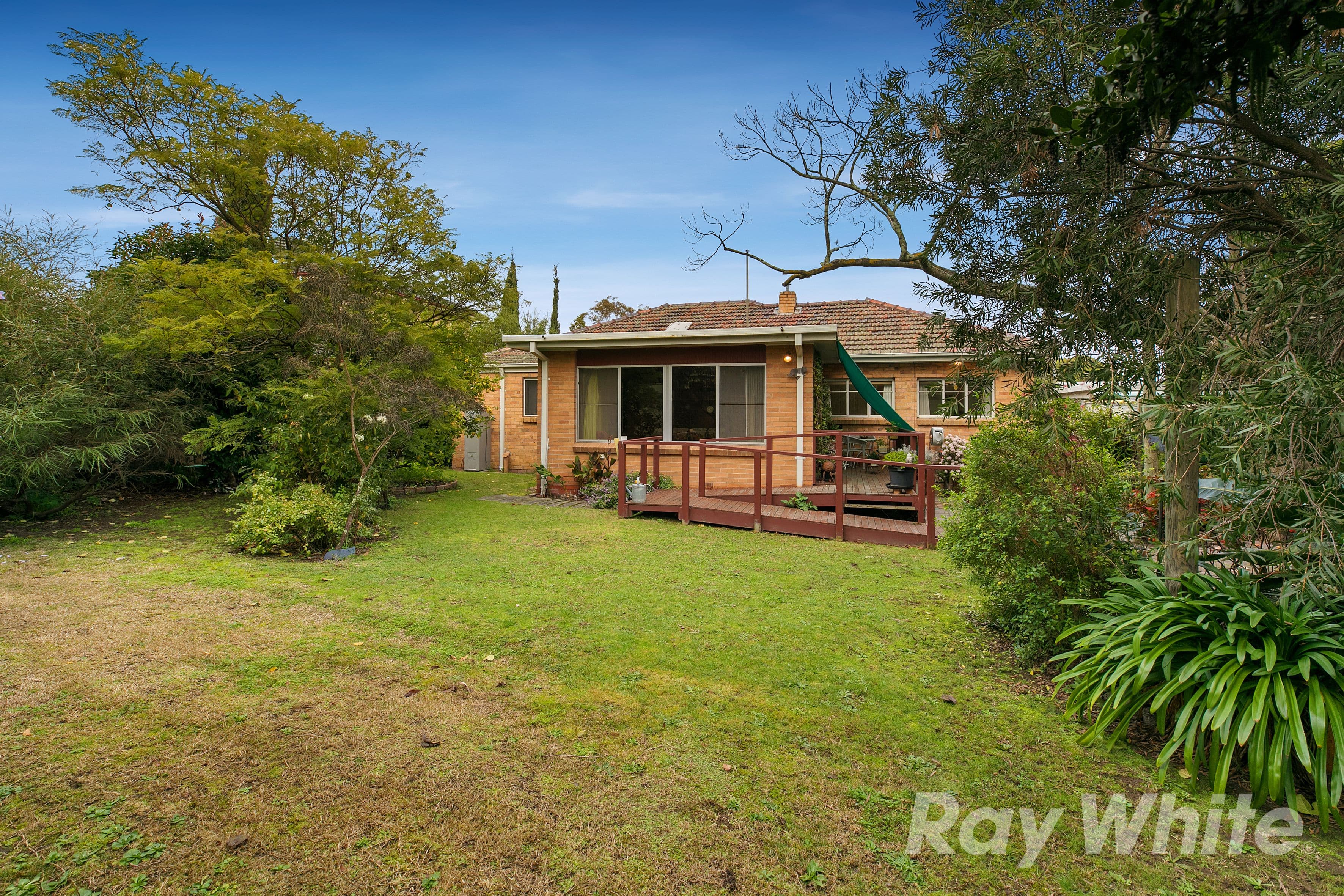 5 Charlton Street, Mount Waverley VIC 3149, Mount Waverley - Thumbnail 8