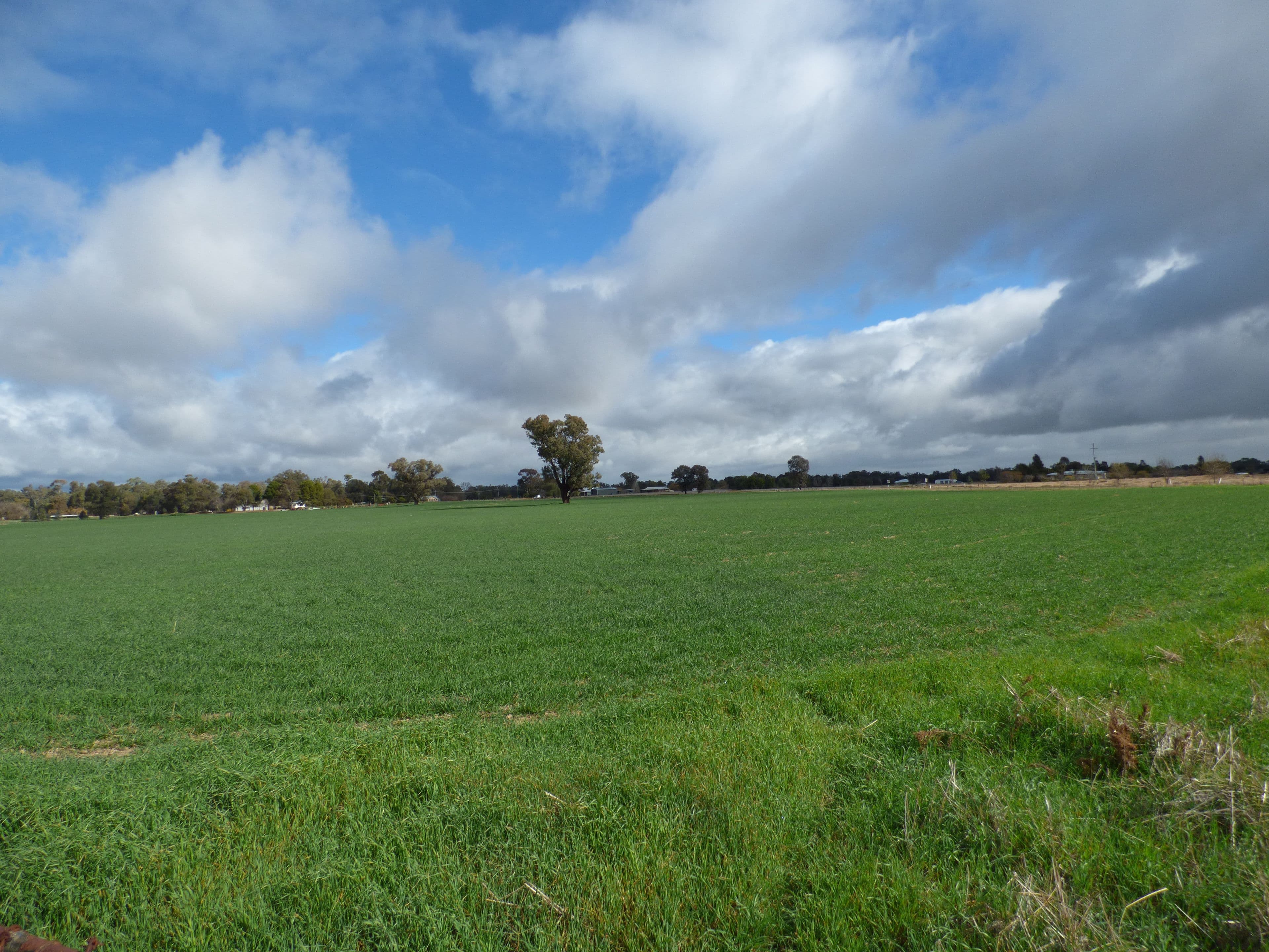 Corner River Road and Wambat Street, Forbes NSW 2871, Forbes - Thumbnail 4