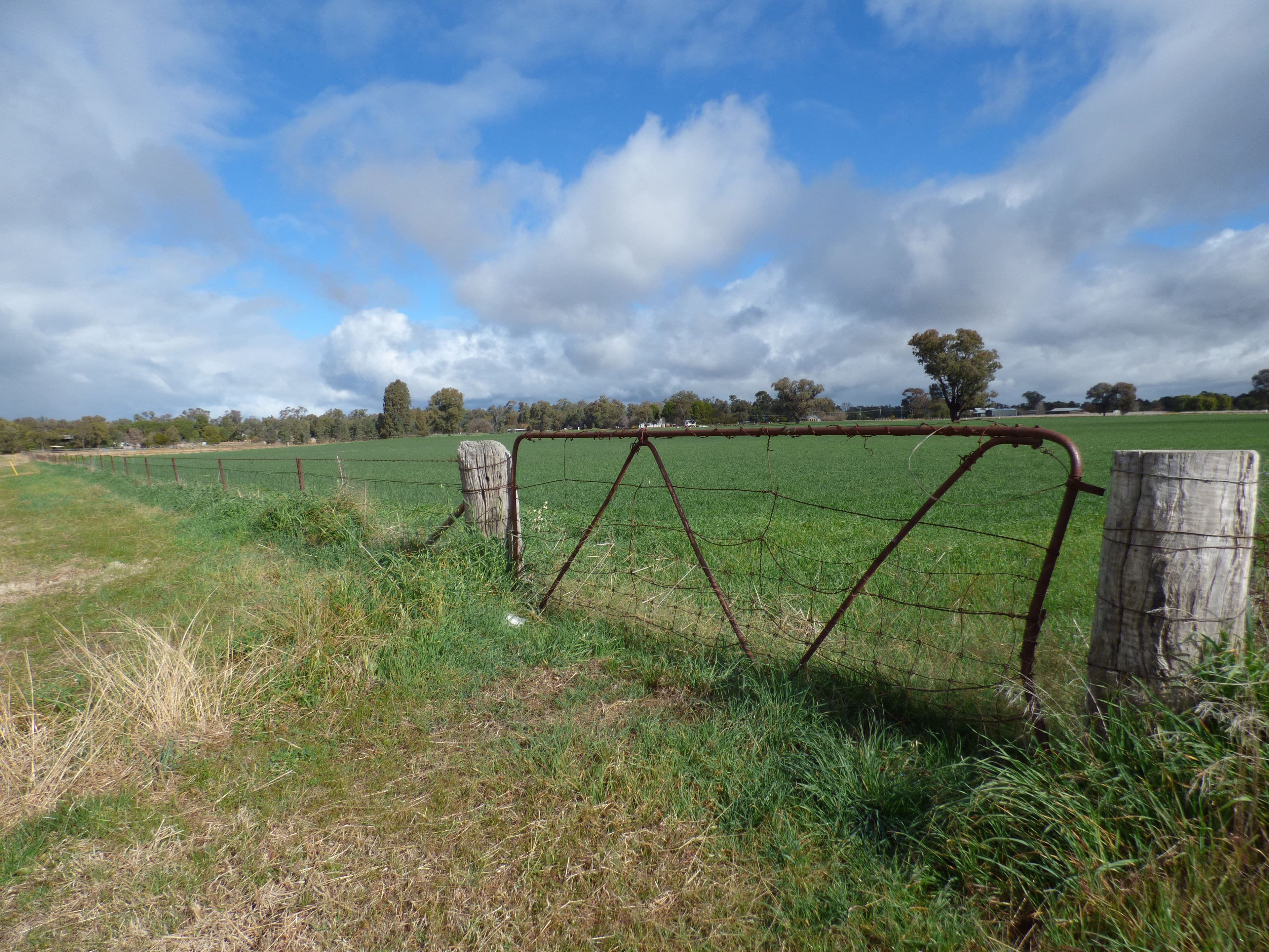 Corner River Road and Wambat Street, Forbes NSW 2871, Forbes - Thumbnail 5