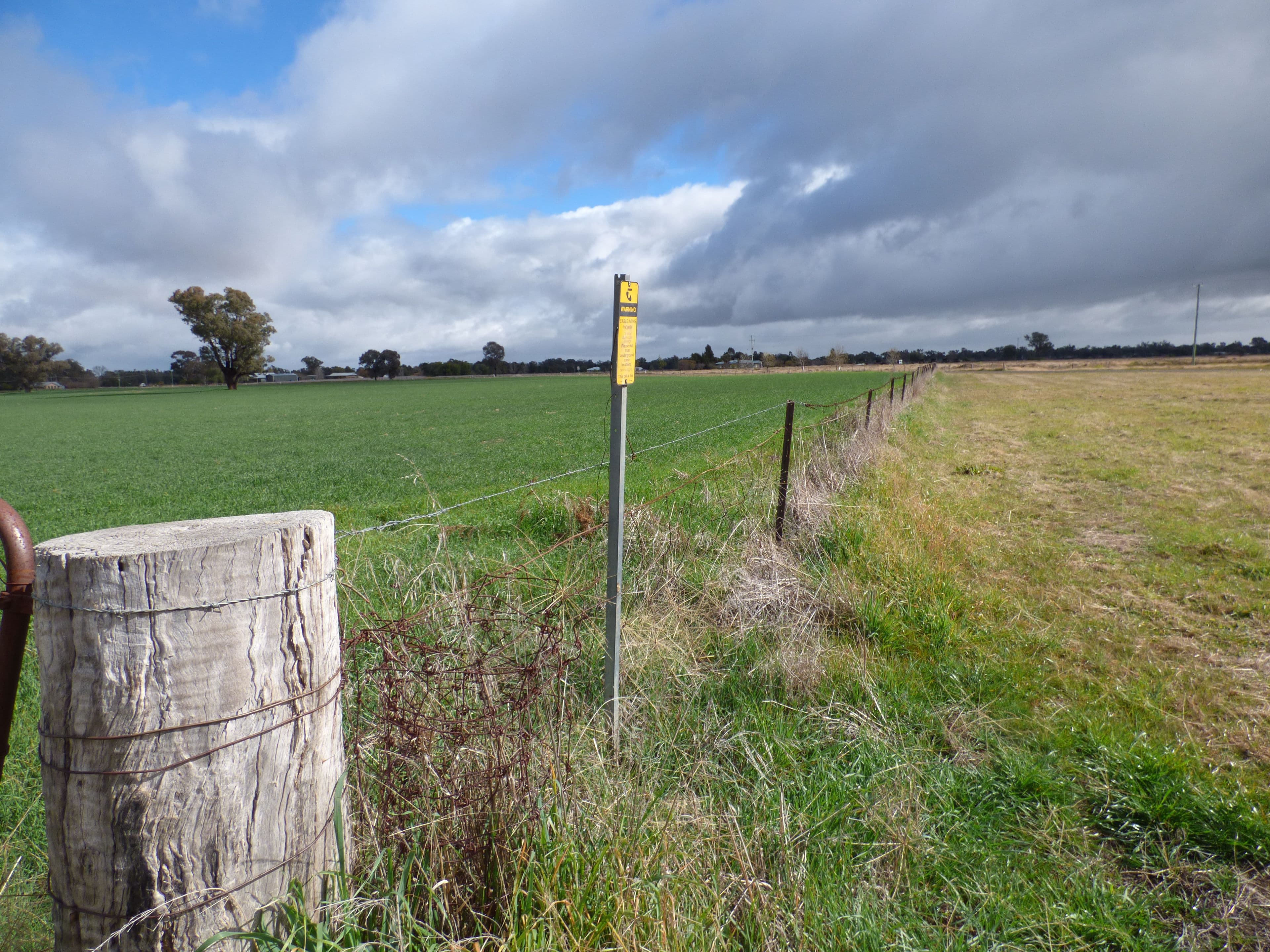 Corner River Road and Wambat Street, Forbes NSW 2871, Forbes - Thumbnail 7