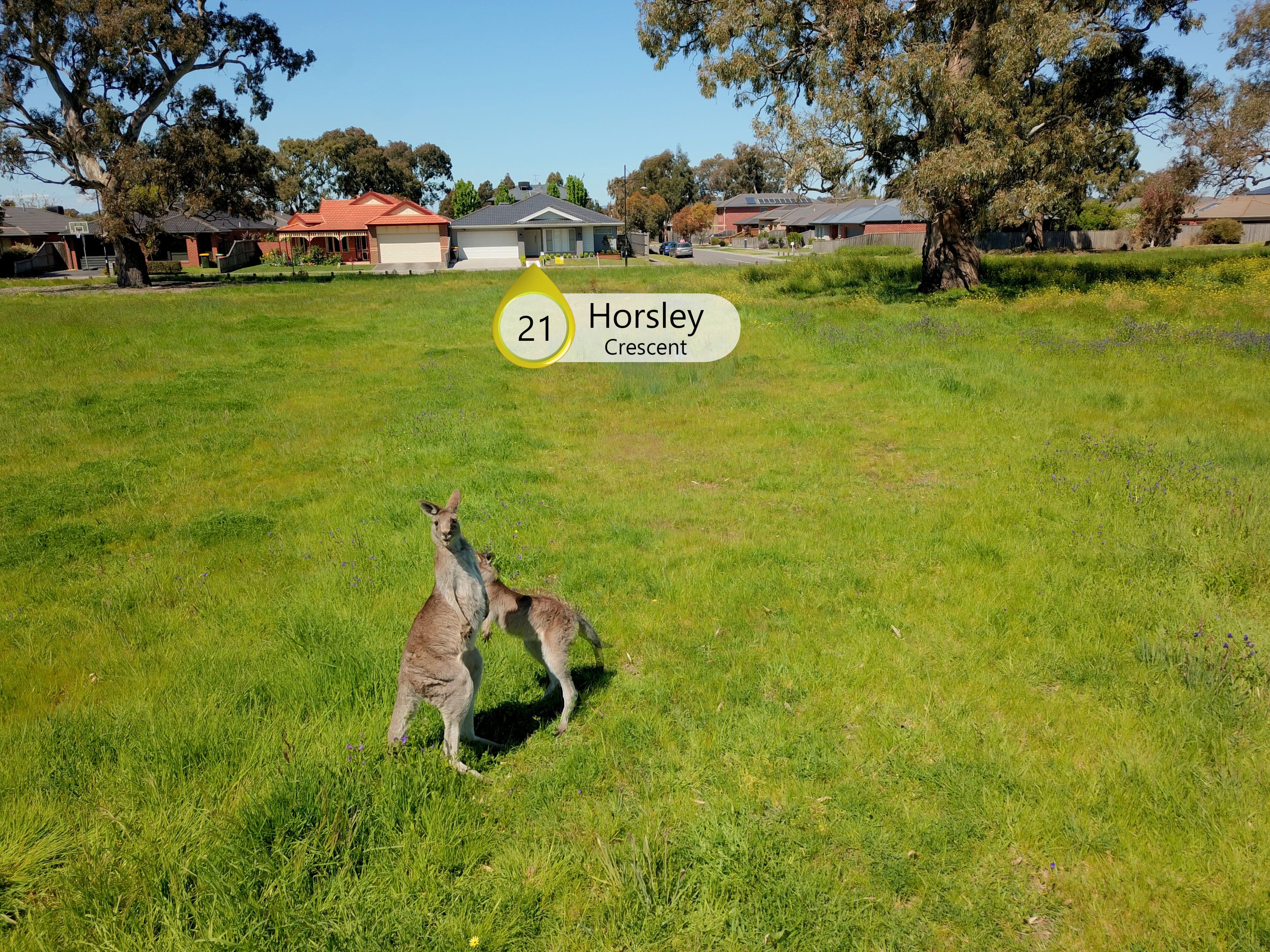 21 Horsley Crescent, Doreen VIC 3754, Doreen - Thumbnail 2