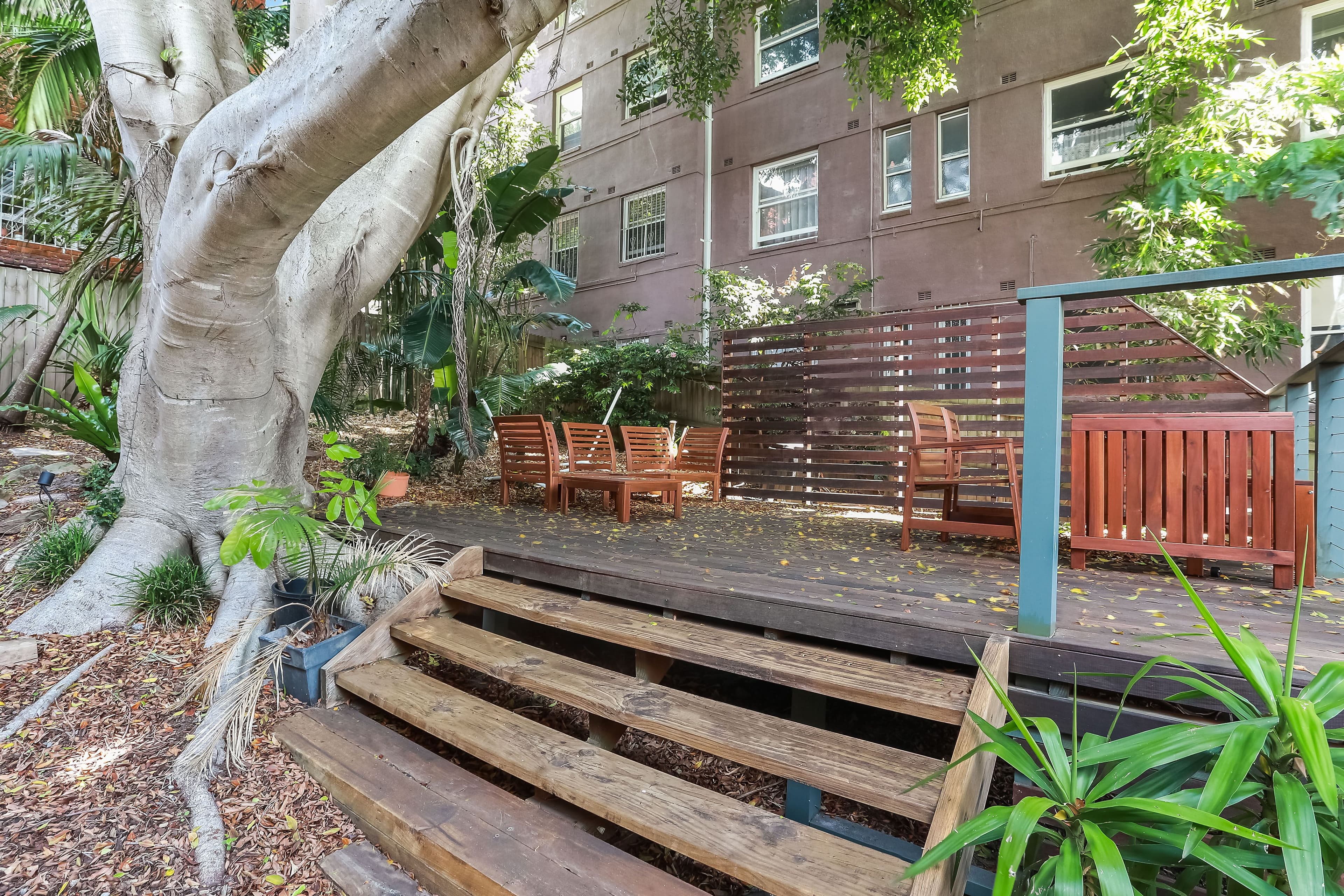 5 Lucius Street, Bondi Beach NSW 2026, Bondi Beach - Thumbnail 6