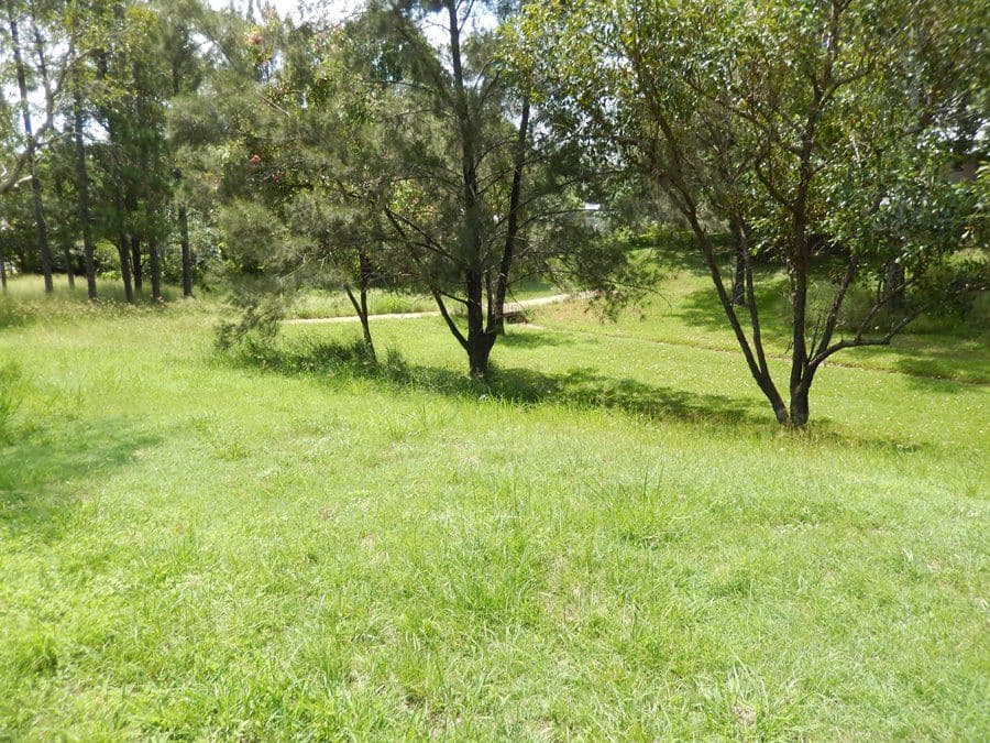 51 Mary Street, Blackstone QLD 4304, Blackstone - Thumbnail 4