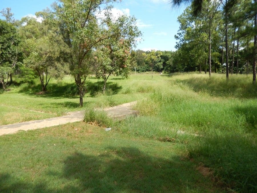 51 Mary Street, Blackstone QLD 4304, Blackstone - Thumbnail 6