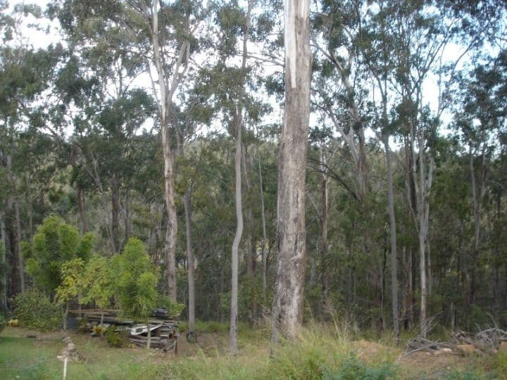 20  Noble Place, GOODNA QLD 4300, Goodna - Thumbnail 4