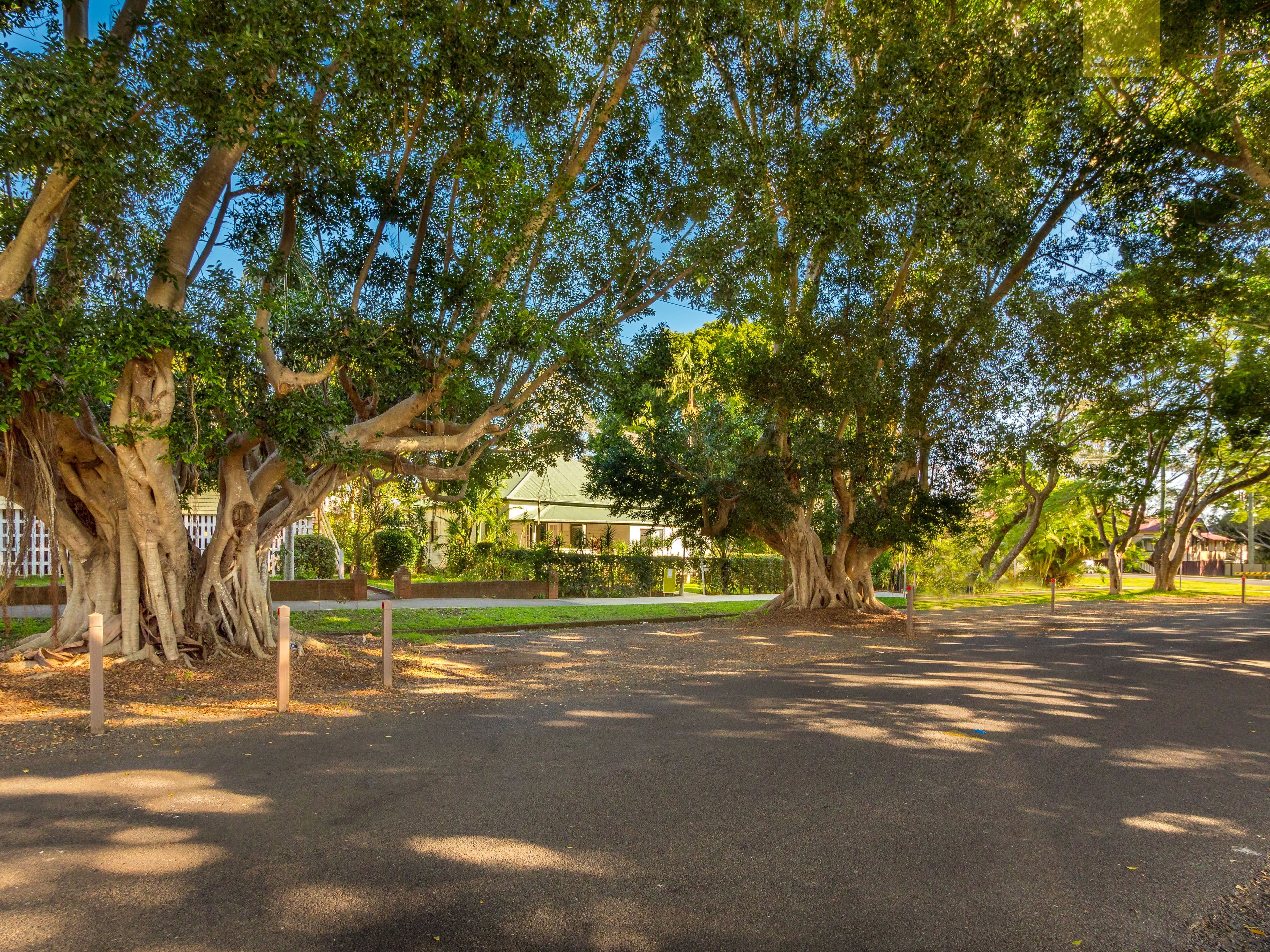 131 Laurel Avenue, Lismore - Thumbnail 3