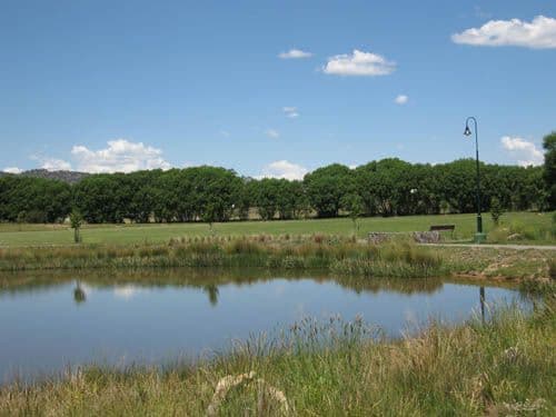 16 Larmer Street, BUNGENDORE NSW 2621, Bungendore - Thumbnail 3