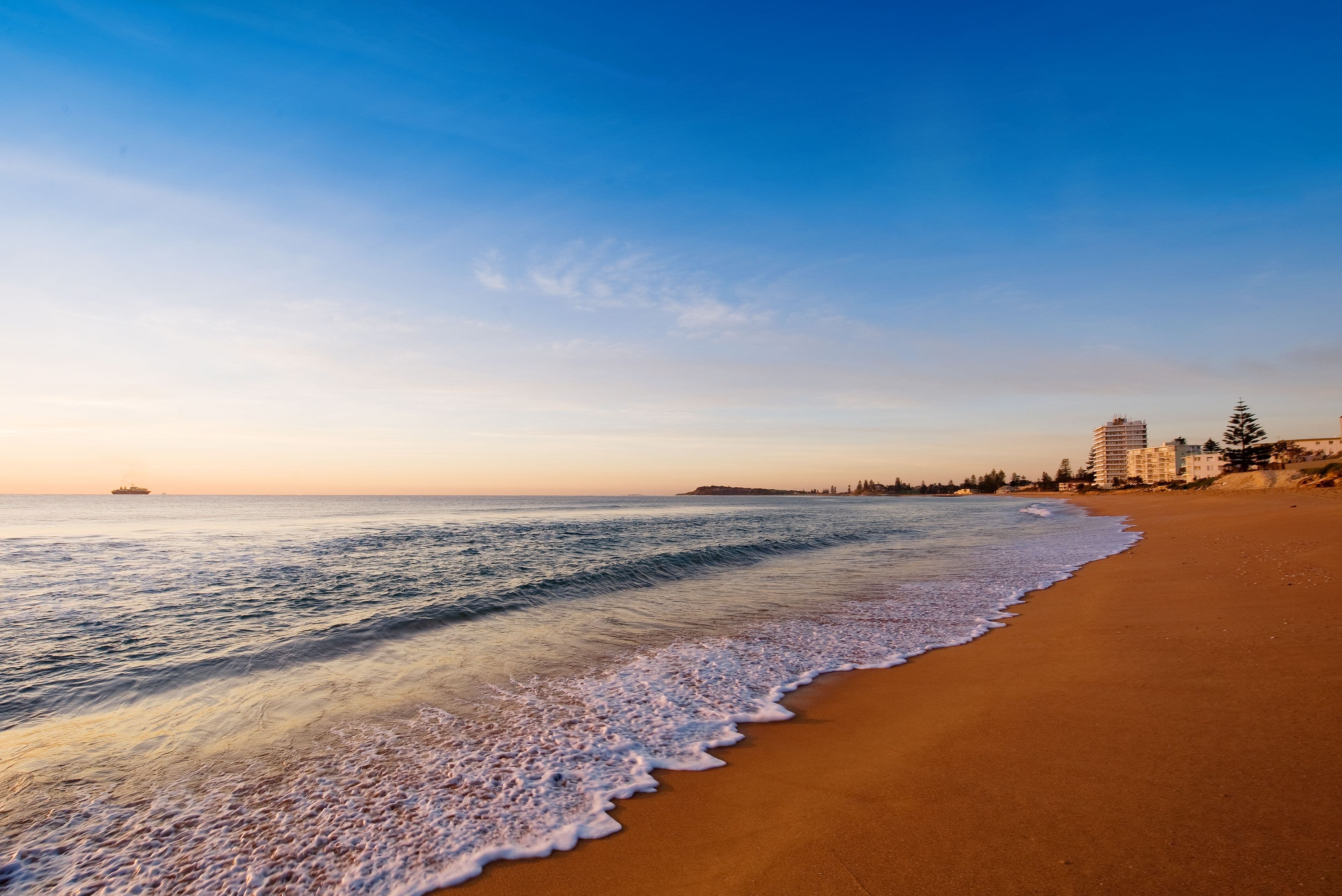 146 Ocean Street, Narrabeen NSW 2101, Narrabeen - Thumbnail 4