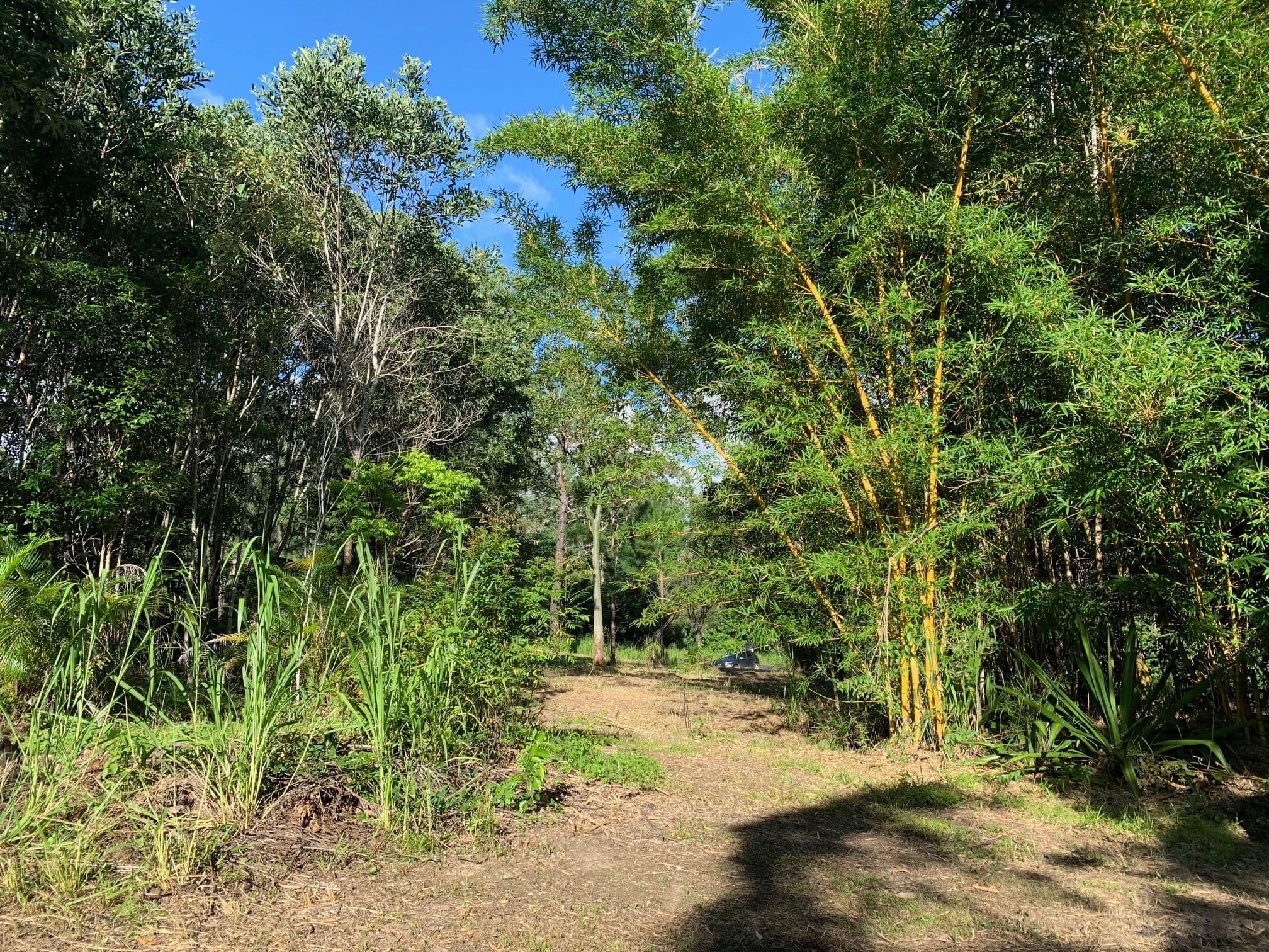 Lot 120 Ganyan Drive, Speewah QLD 4881, Speewah - Thumbnail 2