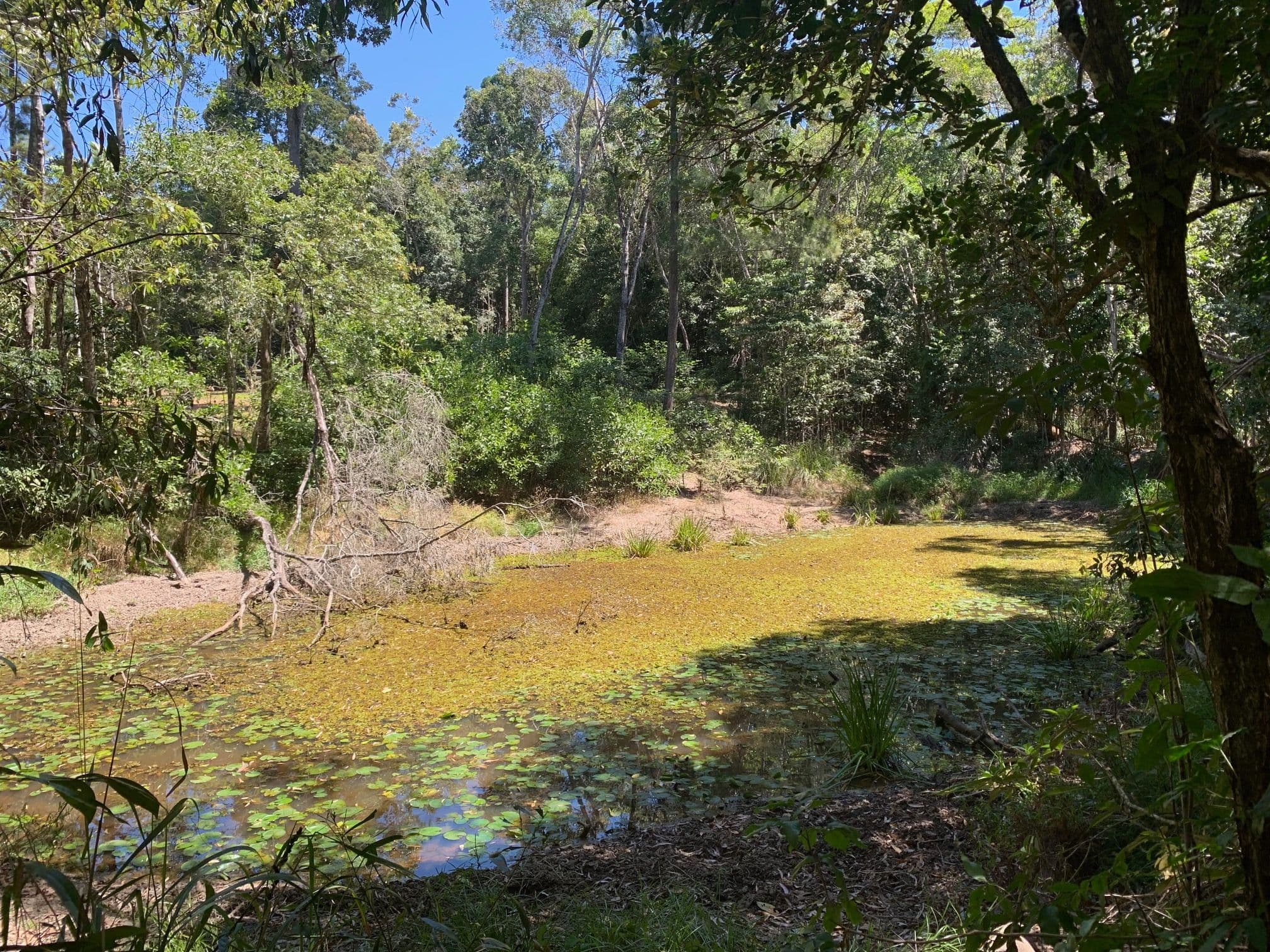 Lot 120 Ganyan Drive, Speewah QLD 4881, Speewah - Thumbnail 4