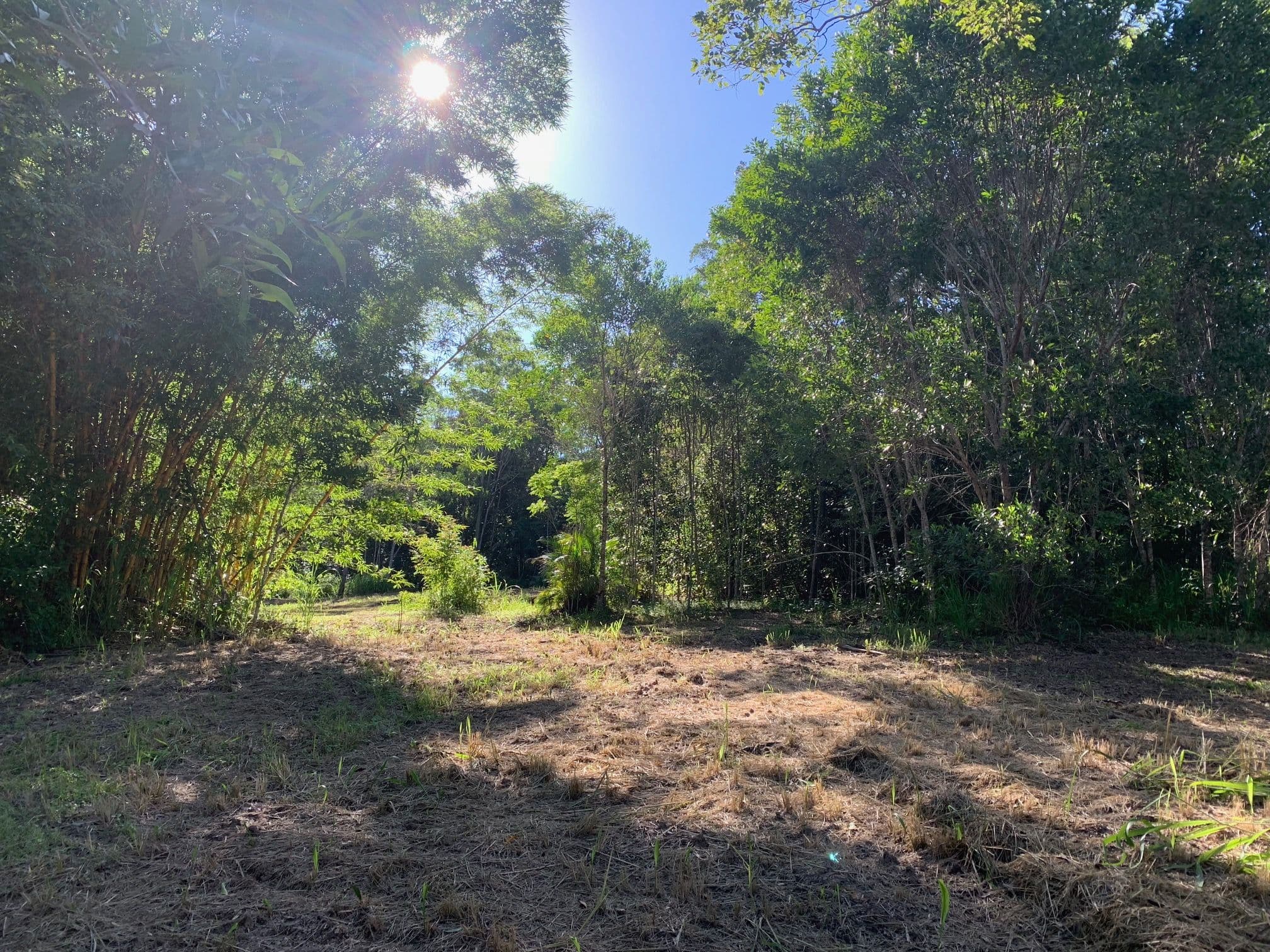 Lot 120 Ganyan Drive, Speewah QLD 4881, Speewah - Thumbnail 6