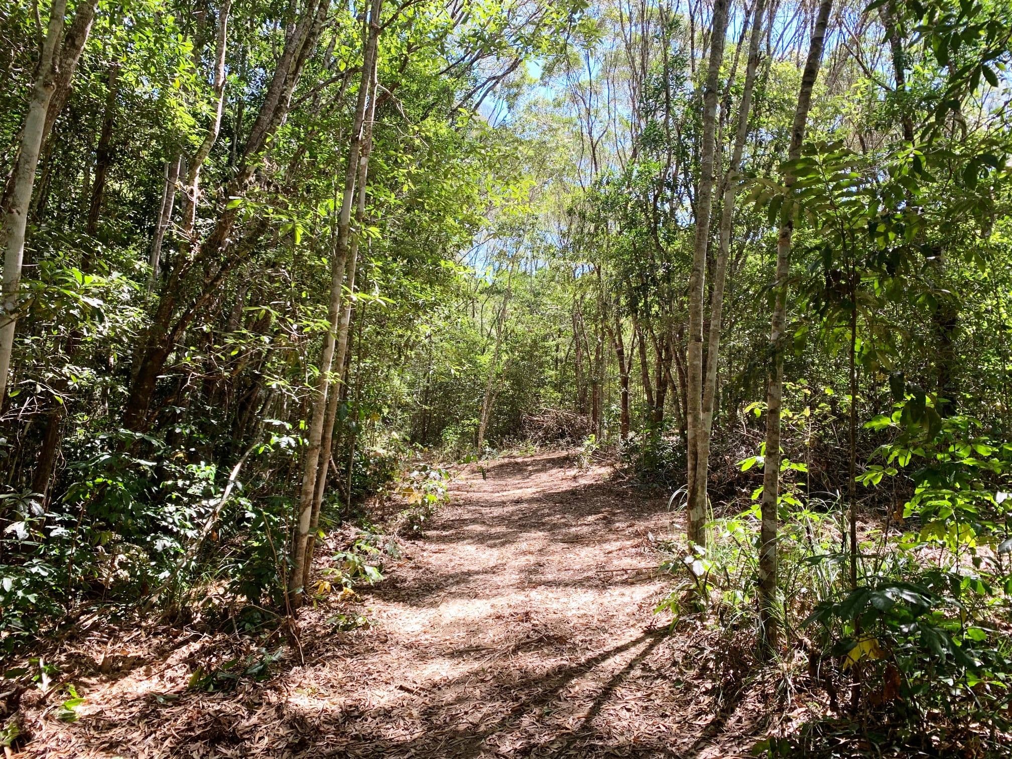 Lot 120 Ganyan Drive, Speewah QLD 4881, Speewah - Thumbnail 8