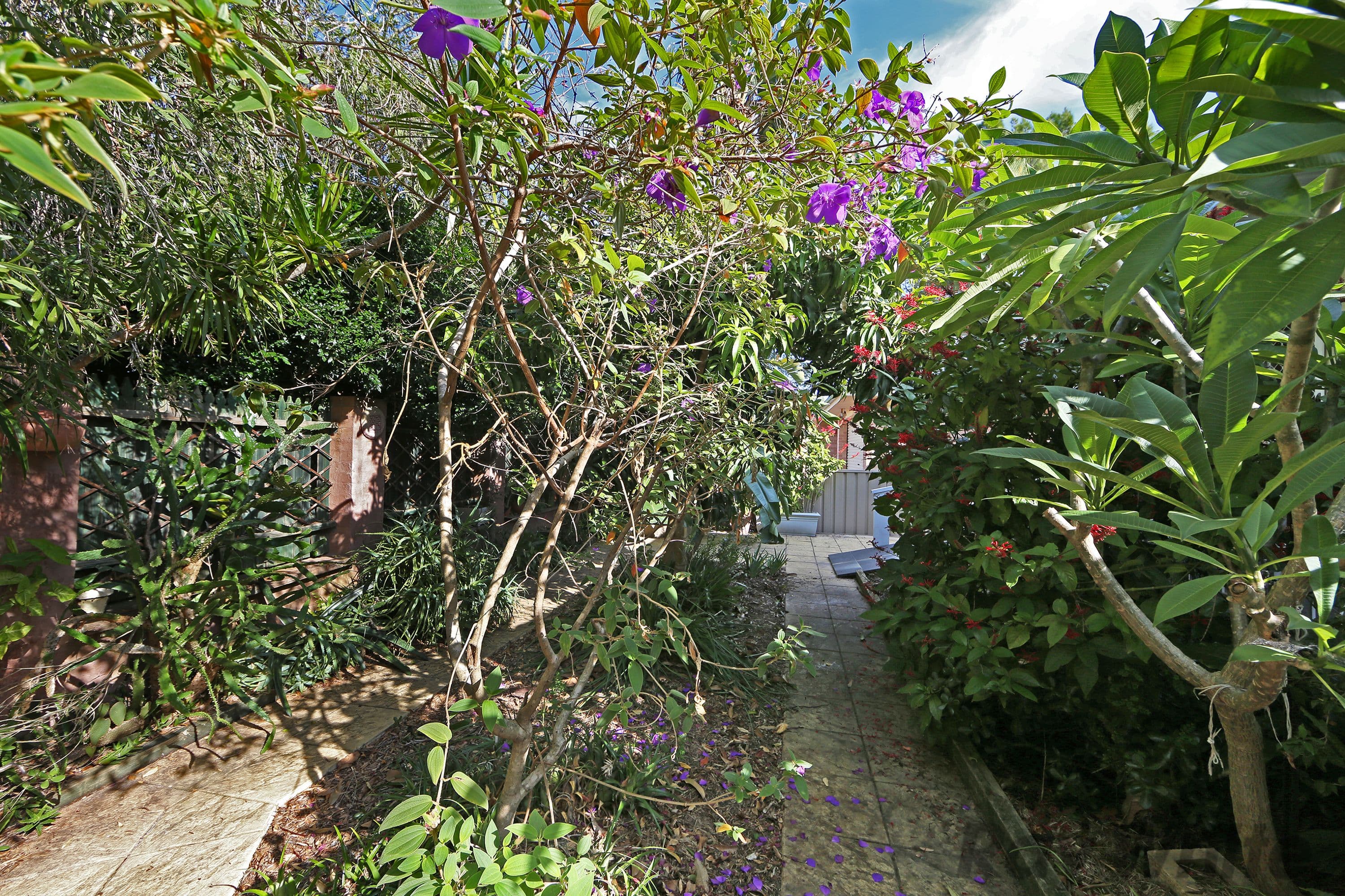 21 Alexandra Street, Budgewoi - Thumbnail 5