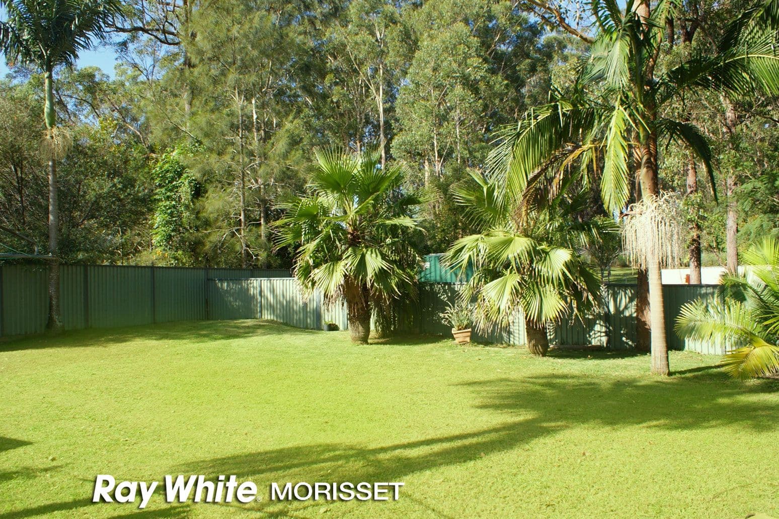 16 Cadillac Close, Cooranbong NSW 2265, Cooranbong - Thumbnail 6