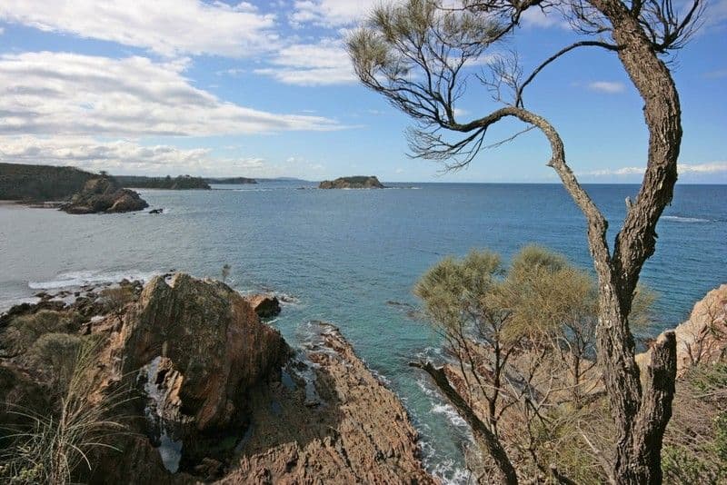 68 Burri Point Road, GUERILLA BAY NSW 2536, Guerilla Bay - Thumbnail 6