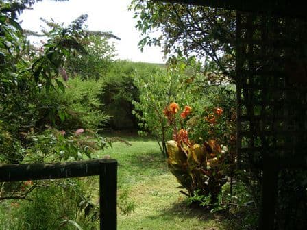198 Mclachlan Street, ORANGE NSW 2800, Orange - Thumbnail 6