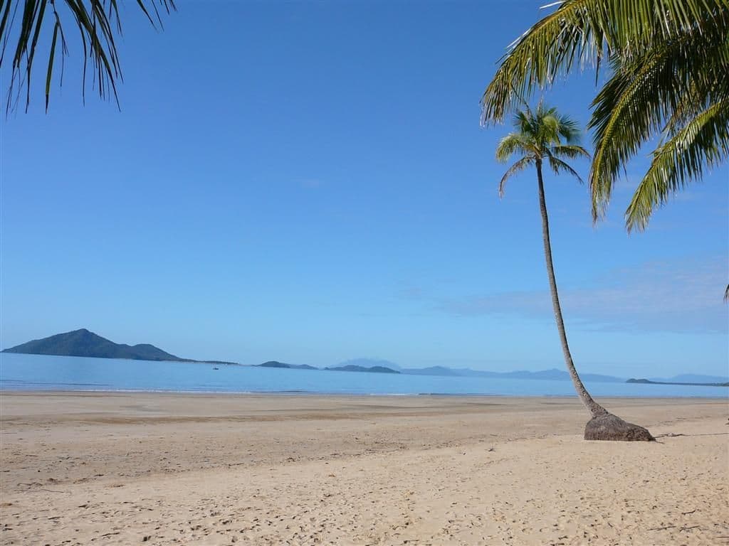 8 YAMALA Close, Mission Beach QLD 4852, Mission Beach - Thumbnail 6