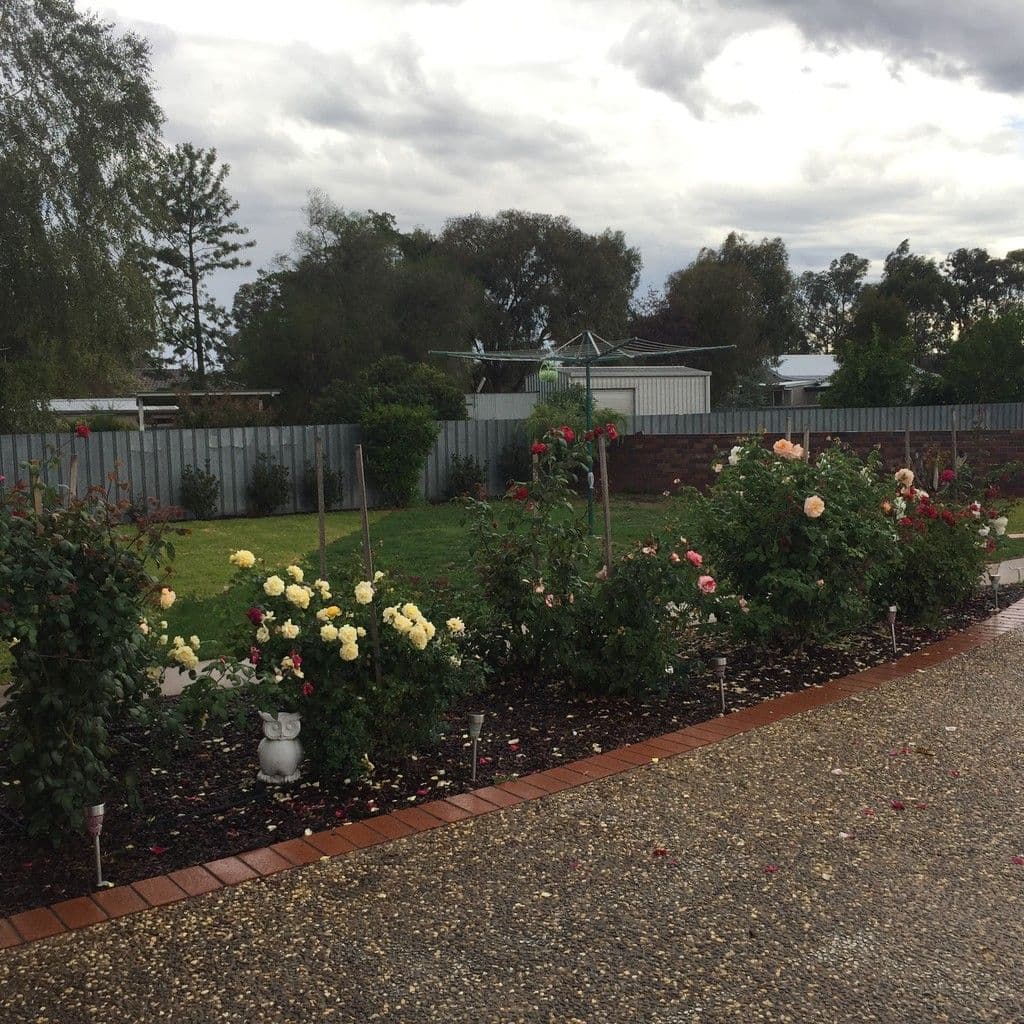 20 Second Street, Henty NSW 2658, Henty - Thumbnail 6