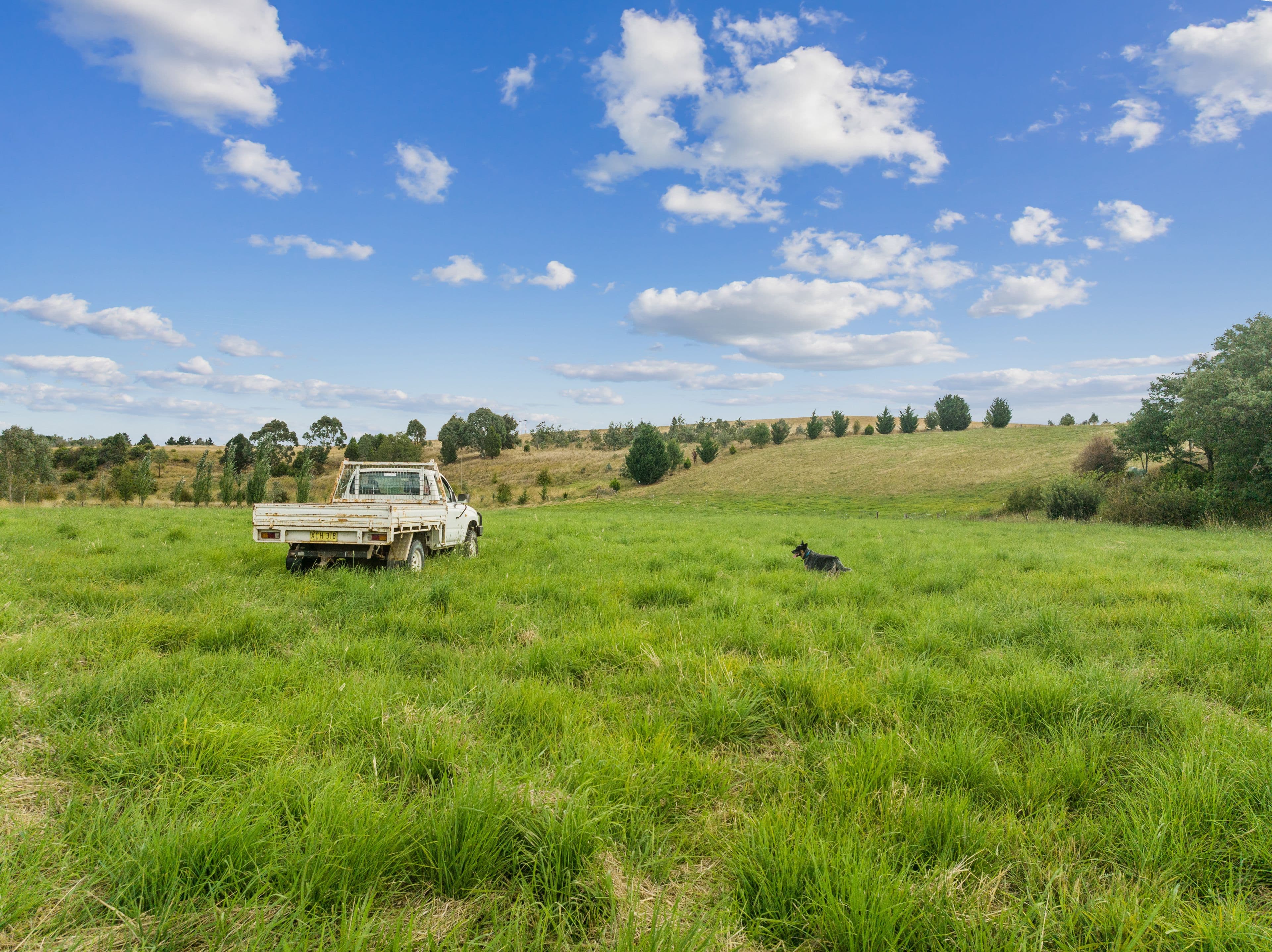 'Gleneden' 3 Glover Drive, Yass NSW 2582, Yass - Thumbnail 3