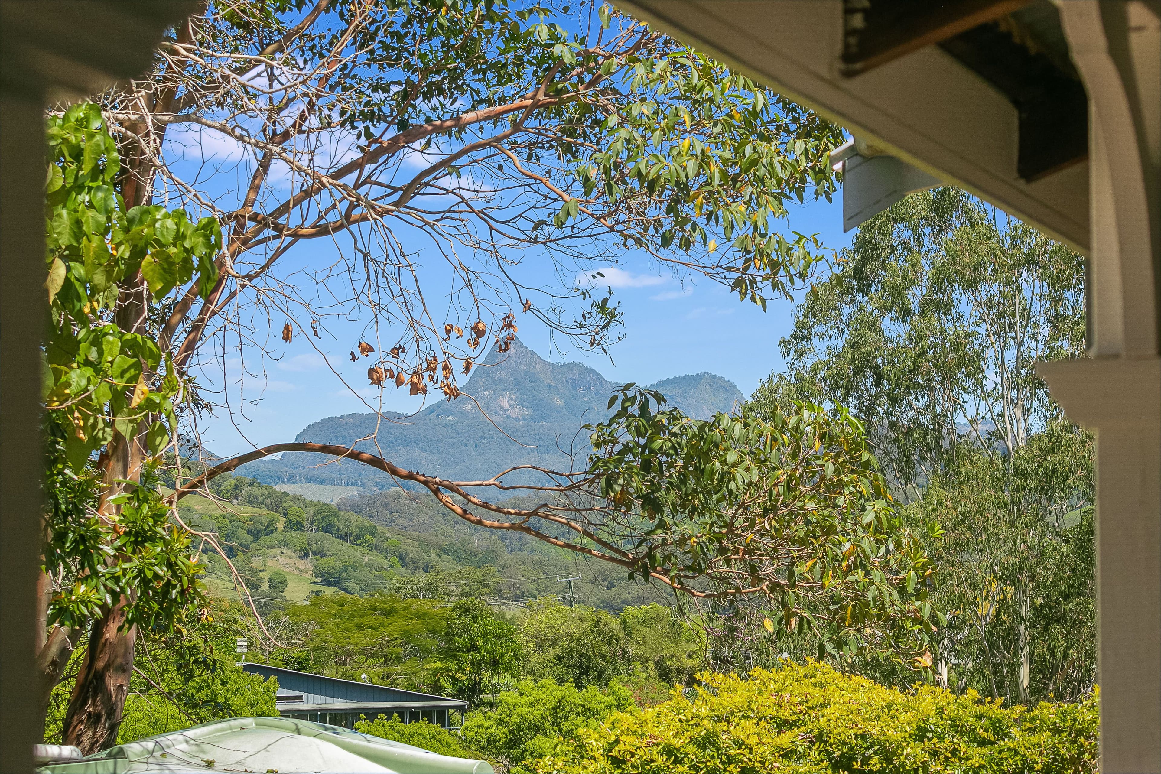 171 Blackwoods Road, Nobbys Creek NSW 2484, Nobbys Creek - Thumbnail 2