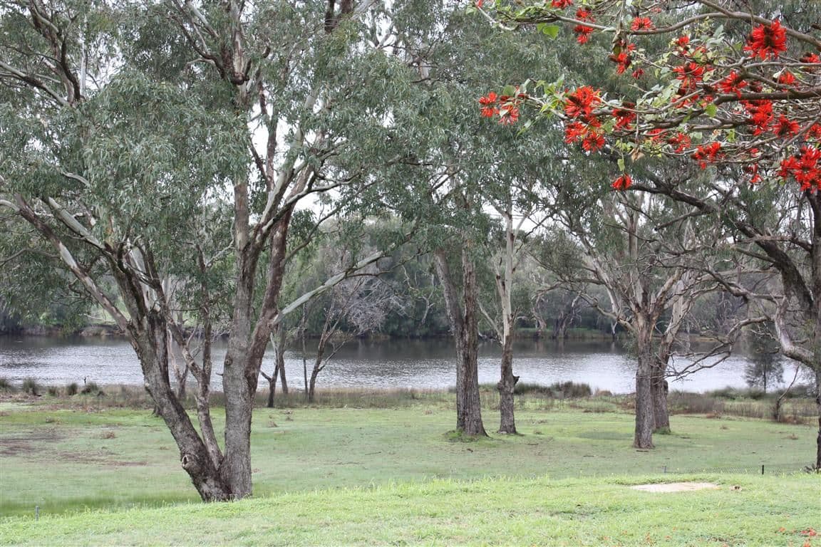 49 North Road, BASSENDEAN WA 6054, Bassendean - Image 1