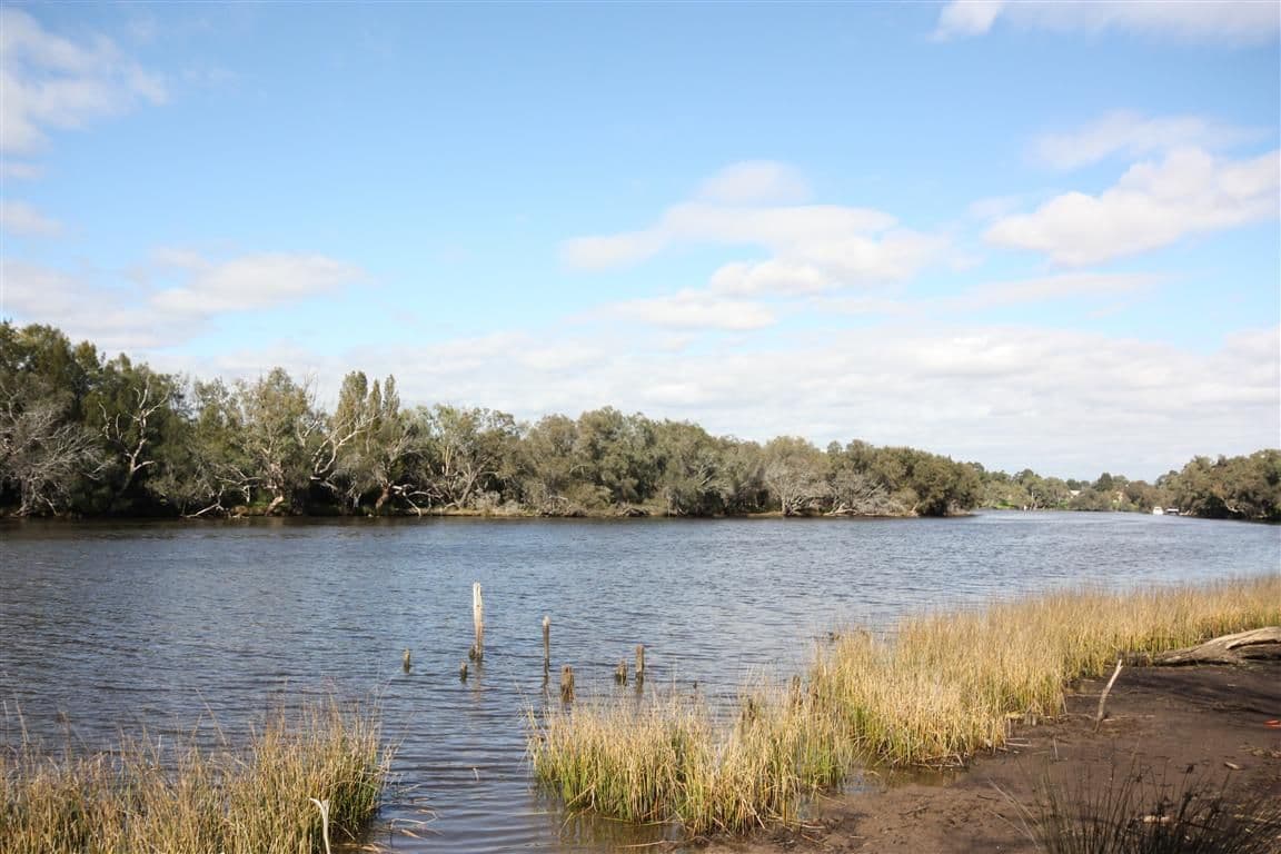 49 North Road, BASSENDEAN WA 6054, Bassendean - Thumbnail 2