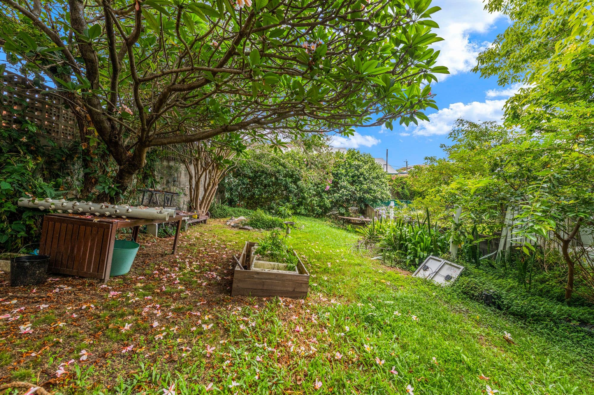 17 Butler Street, Ascot QLD 4007, Ascot - Thumbnail 3