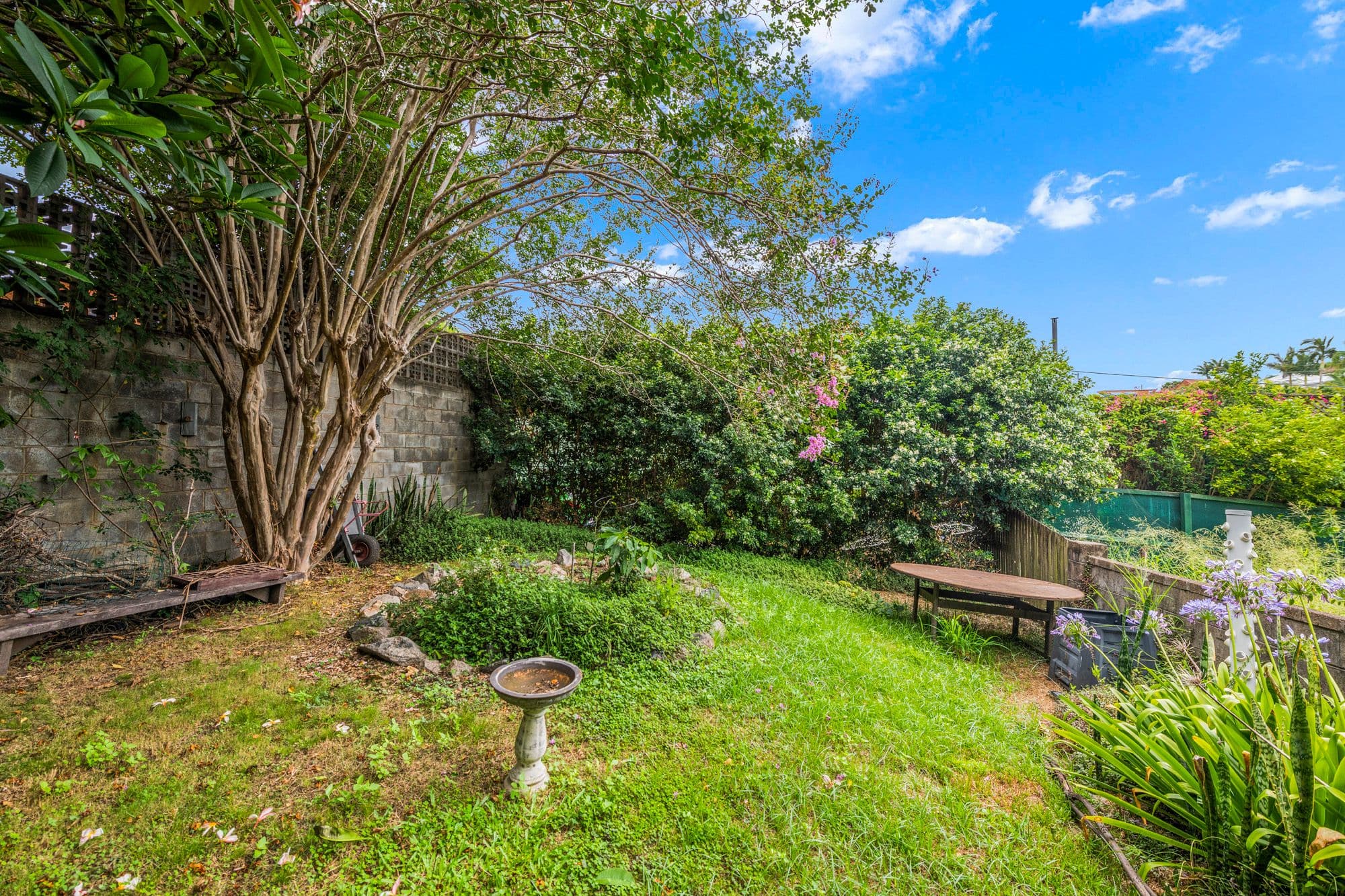 17 Butler Street, Ascot QLD 4007, Ascot - Thumbnail 4