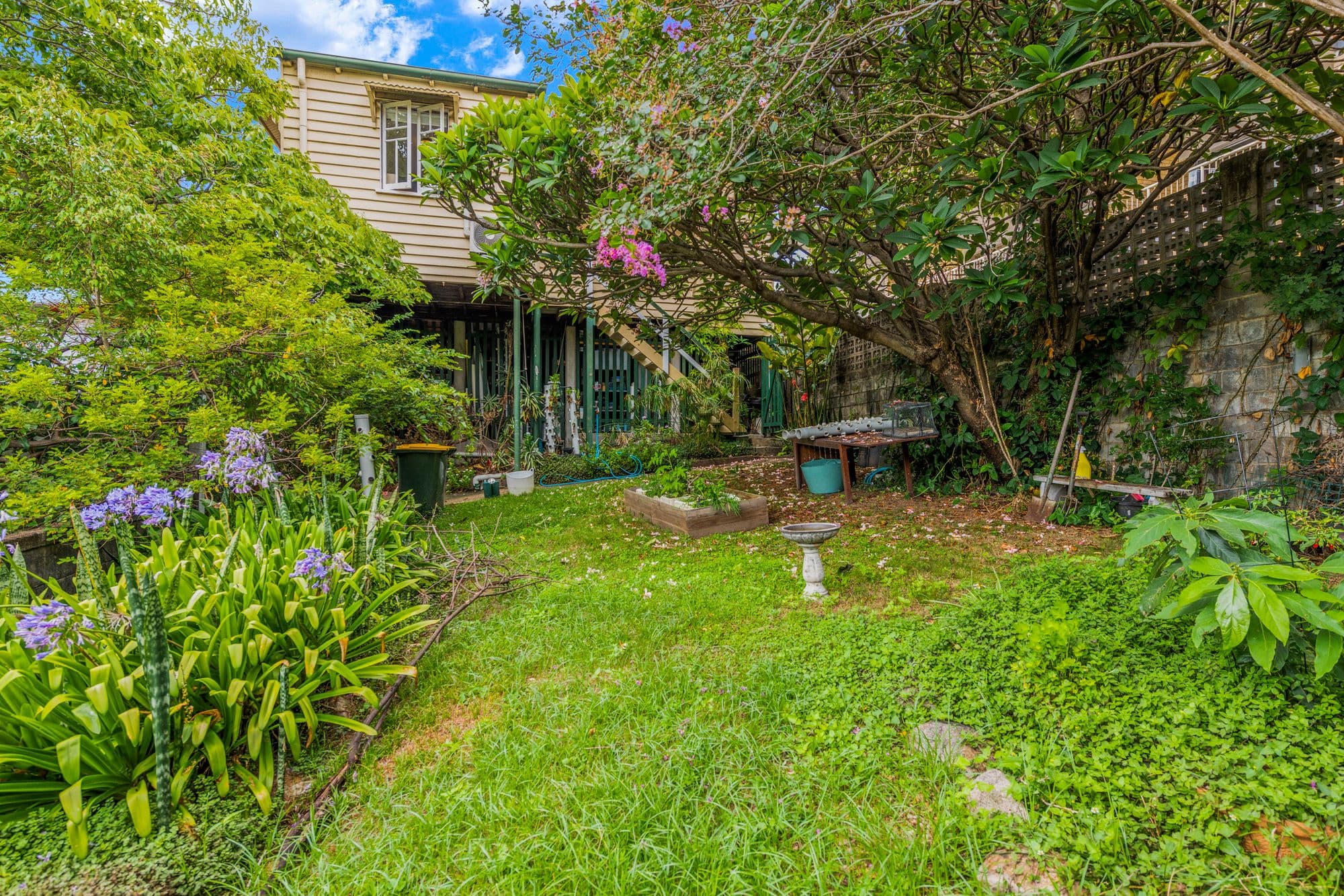 17 Butler Street, Ascot QLD 4007, Ascot - Thumbnail 5