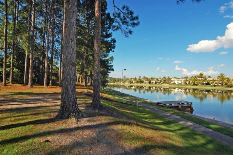 3 Pinon Close, ELANORA QLD 4221, Elanora - Thumbnail 2