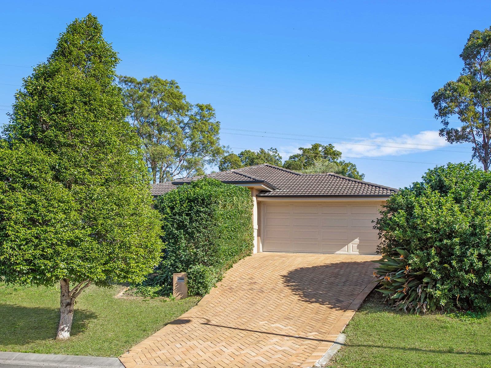 8 Catani Court, Warner QLD 4500, Warner - Image 1