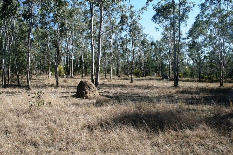 351 Old Esk Road, BENARKIN QLD 4314, Benarkin - Thumbnail 2