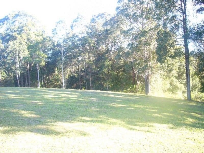 263 Soldier Settlers Road, NEWEE CREEK NSW 2447, Newee Creek - Thumbnail 4