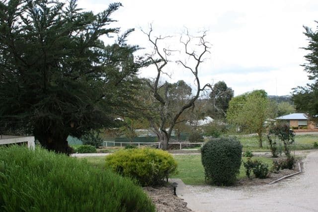 5 West Terrace, CLARE SA 5453, Clare - Thumbnail 3