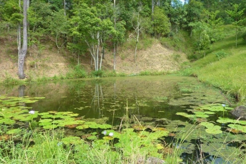 271 Lower Mount Mellum Road, Mount Mellum QLD 4550, Mount Mellum - Thumbnail 5
