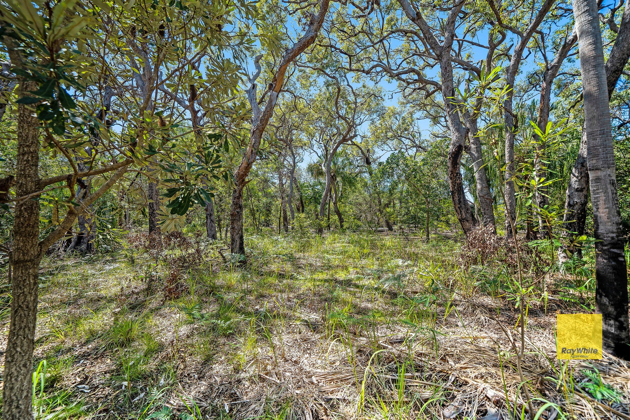 Lot 134 Bloodwood Avenue, Agnes Water QLD 4677, Agnes Water - Thumbnail 5