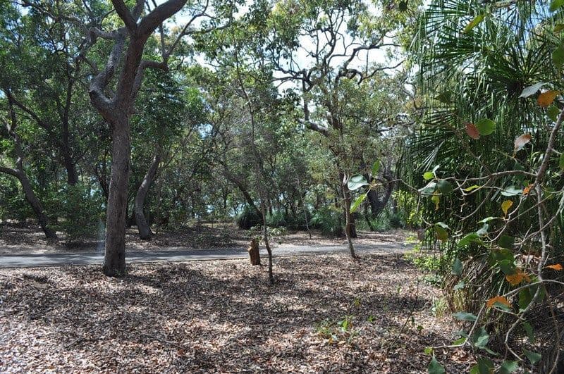 Lot 134 Bloodwood Avenue, Agnes Water QLD 4677, Agnes Water - Thumbnail 8