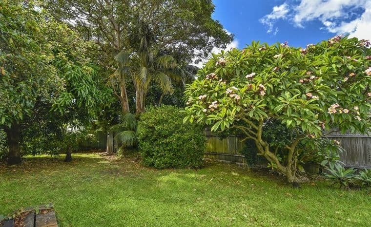 34 Milroy Avenue, Kensington NSW 2033, Kensington - Thumbnail 4