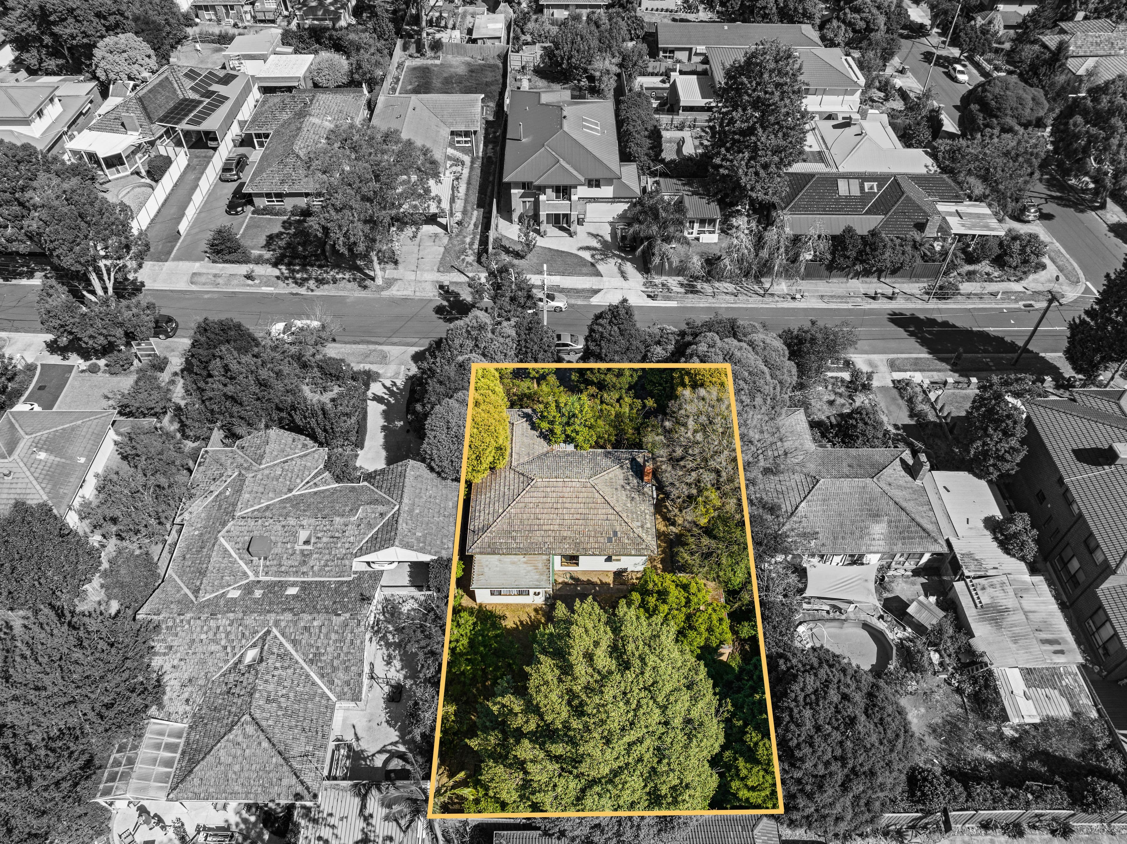 5 Will Street, Forest Hill VIC 3131, Forest Hill - Thumbnail 4