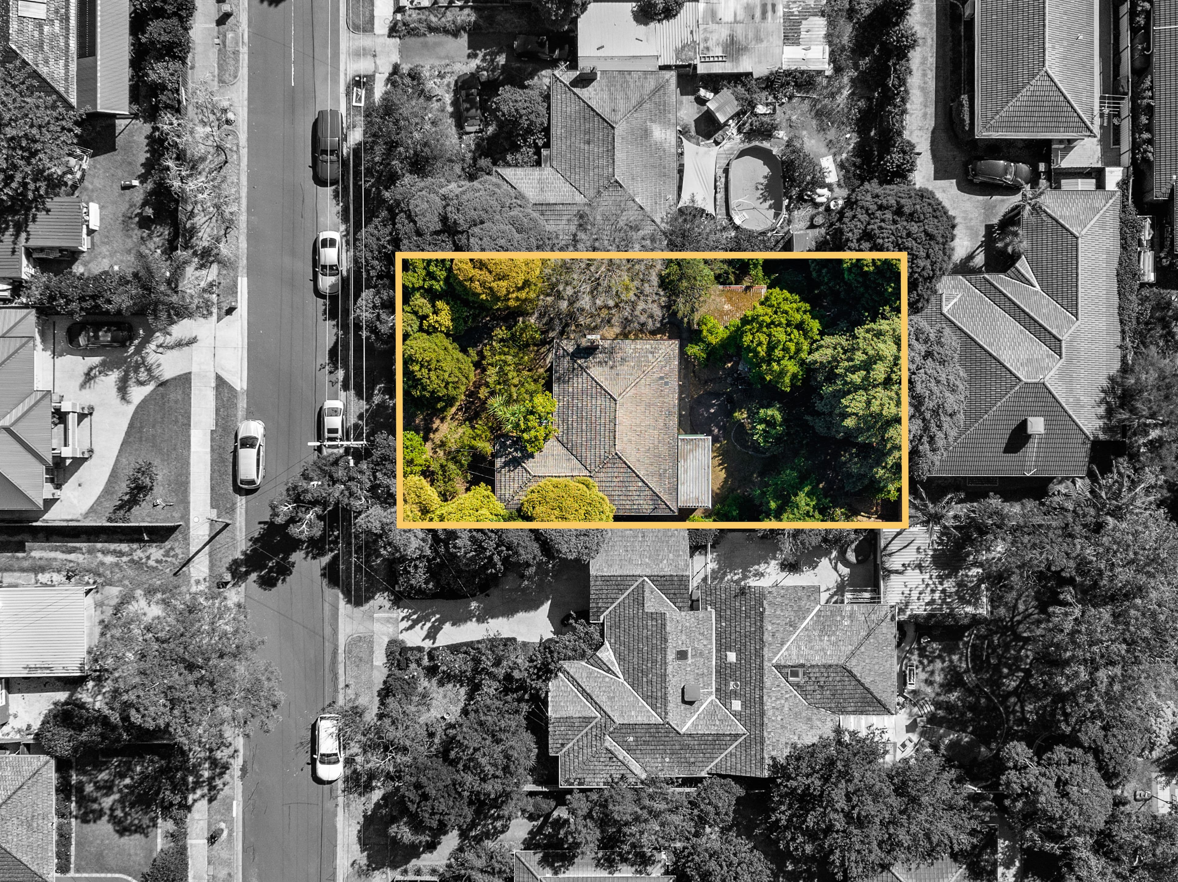 5 Will Street, Forest Hill VIC 3131, Forest Hill - Thumbnail 5