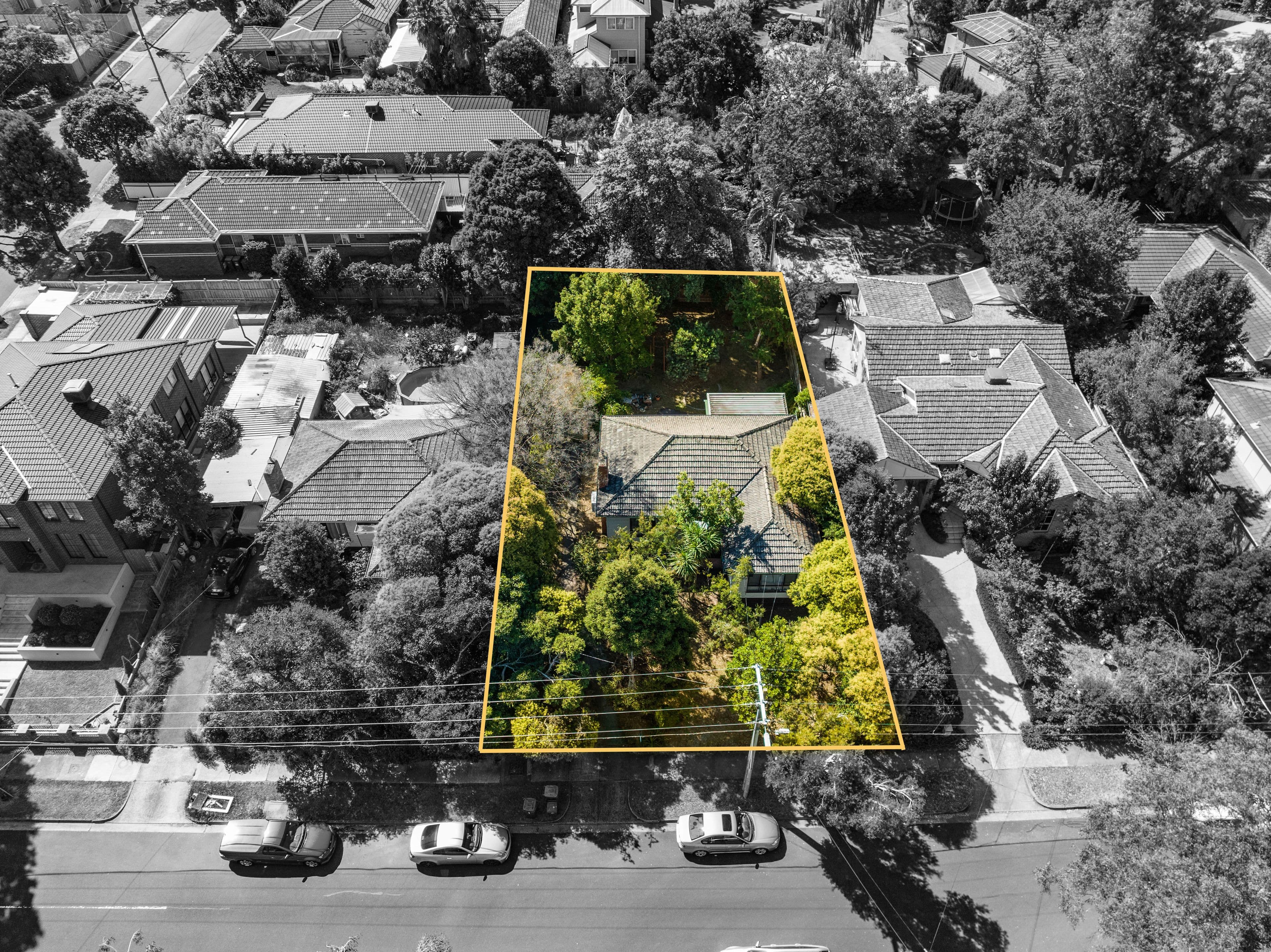 5 Will Street, Forest Hill VIC 3131, Forest Hill - Thumbnail 6