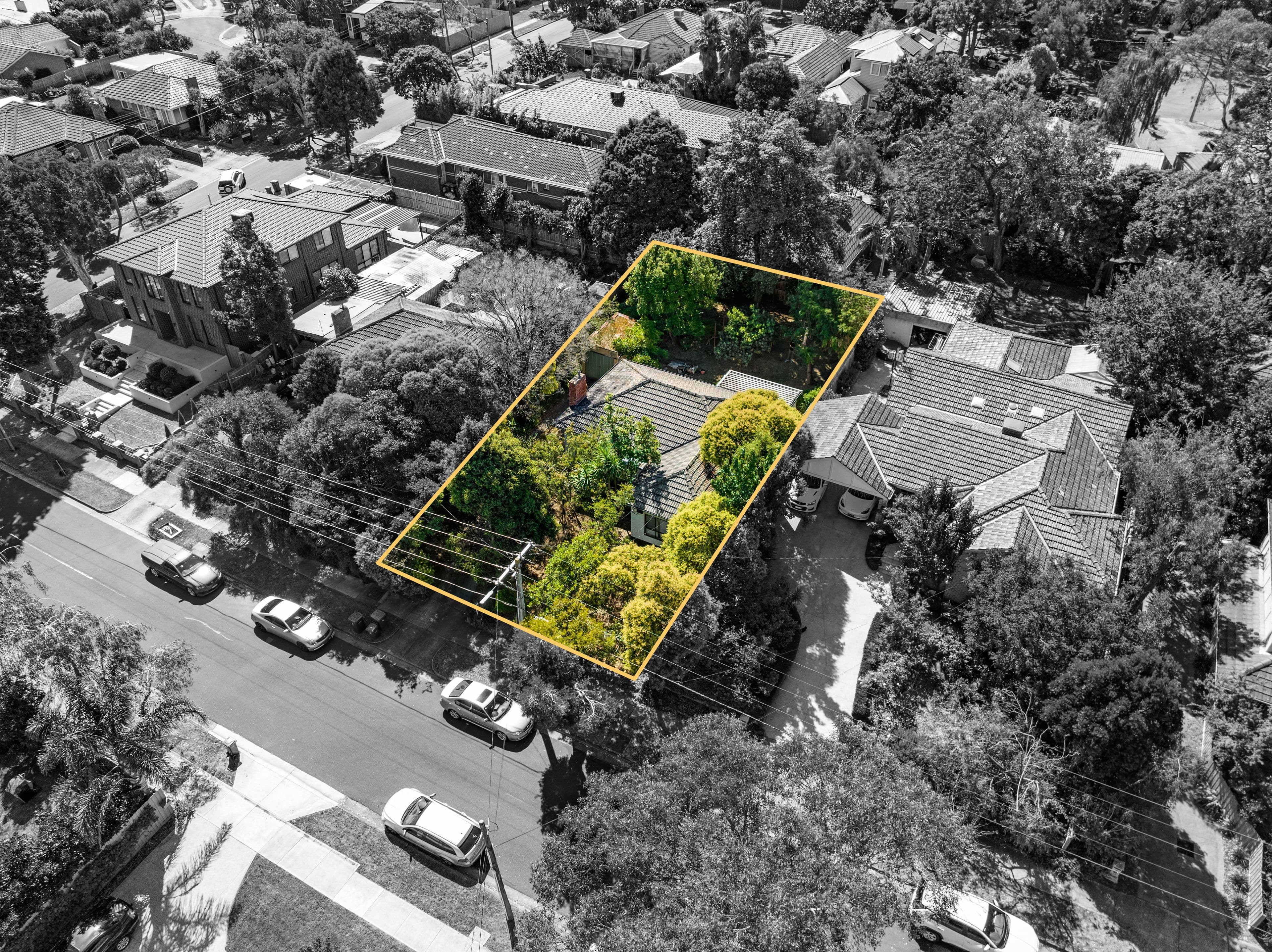 5 Will Street, Forest Hill VIC 3131, Forest Hill - Thumbnail 7
