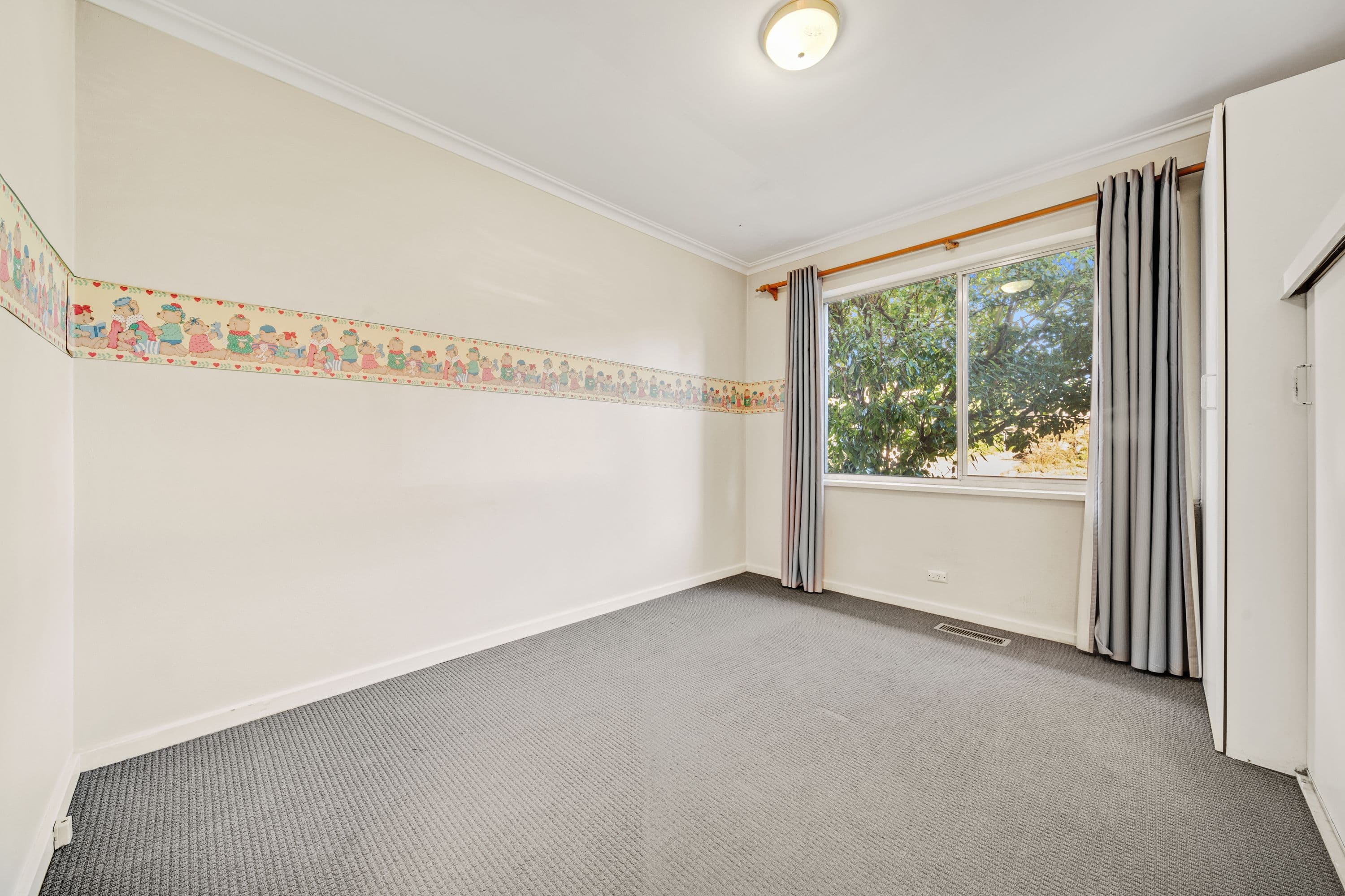 12 Mawson Drive, Mawson ACT 2607, Mawson - Thumbnail 8