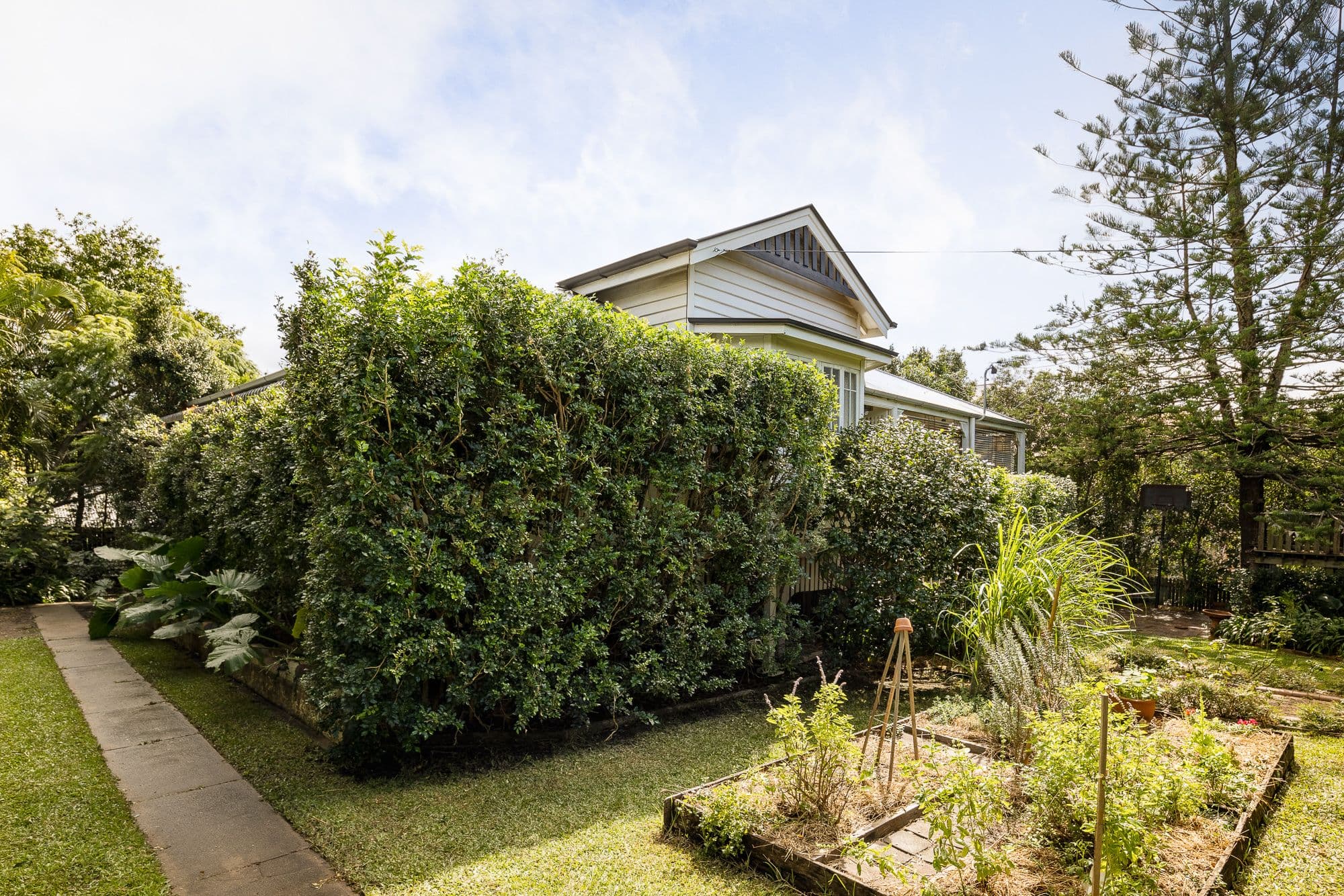 36 Kinmond Avenue, Wavell Heights QLD 4012, Wavell Heights - Thumbnail 2