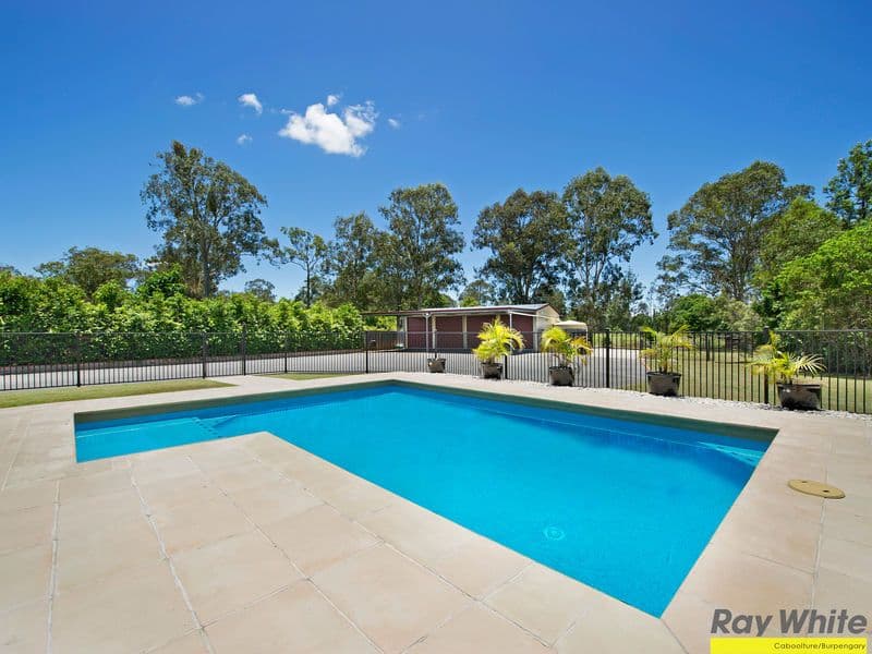 14 Bushcherry Court, BURPENGARY EAST QLD 4505, Burpengary East - Thumbnail 4